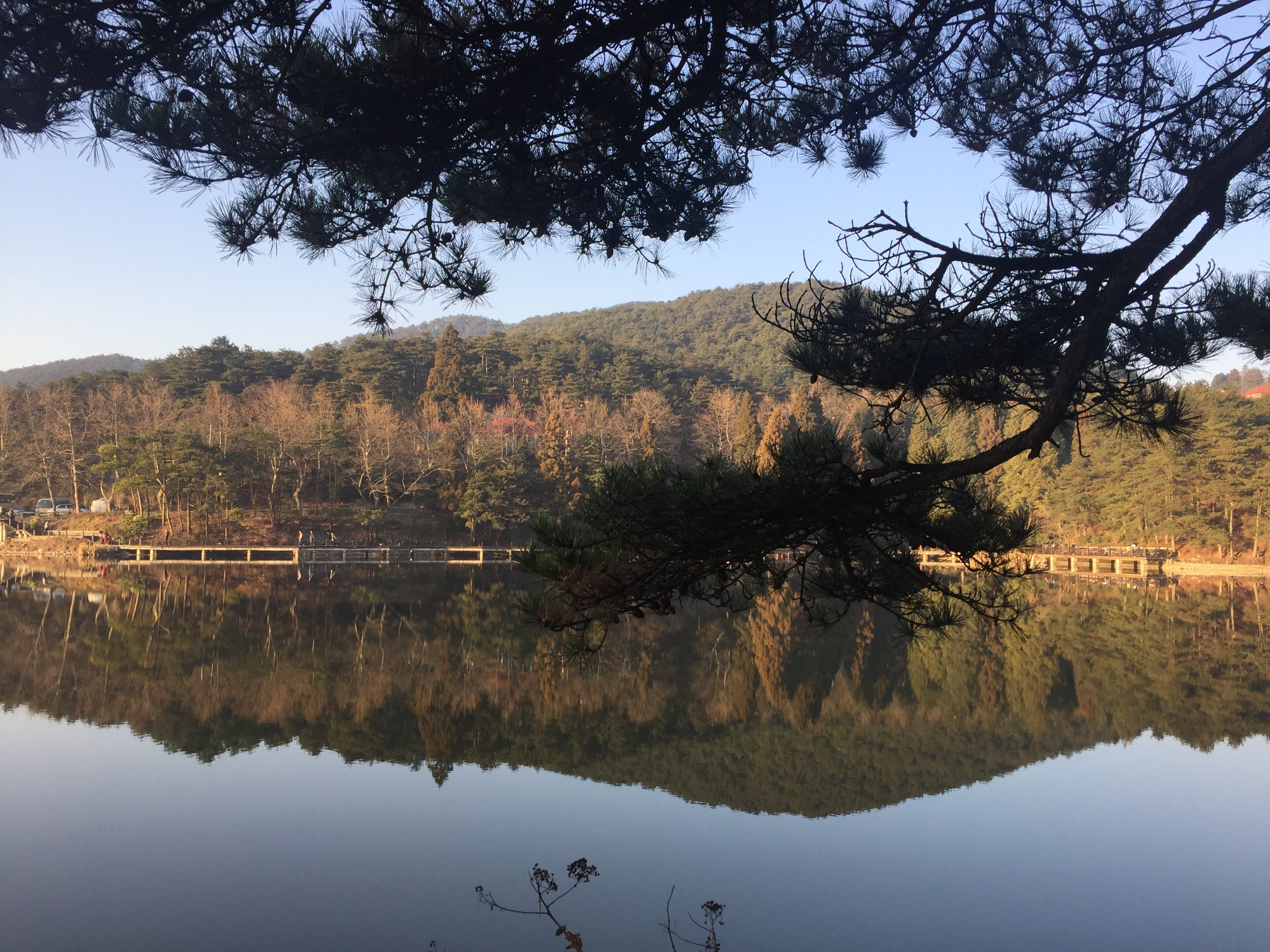 tree, mountain, reflection lake, nature, the water is still very thorough, lake, this is also my lushan captured, no people, tranquil scene, outdoors, beauty in nature, HD Wallpaper