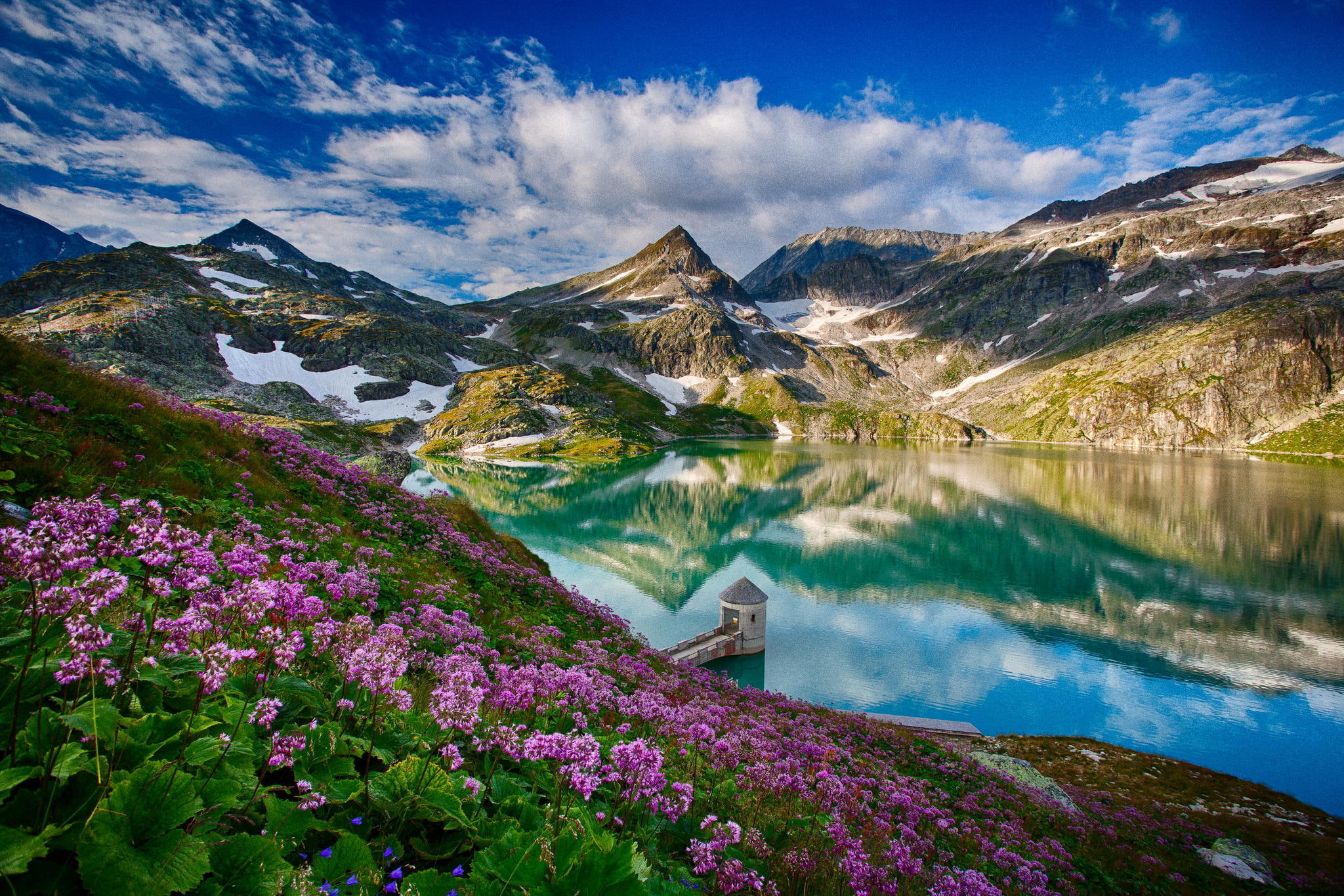 scenics - nature, nature, valley, sky, purple, flowering plant, panoramic, flowers, rural Scene, lake, landscape, glacier, outdoors, non-Urban Scene, austria, HD Wallpaper