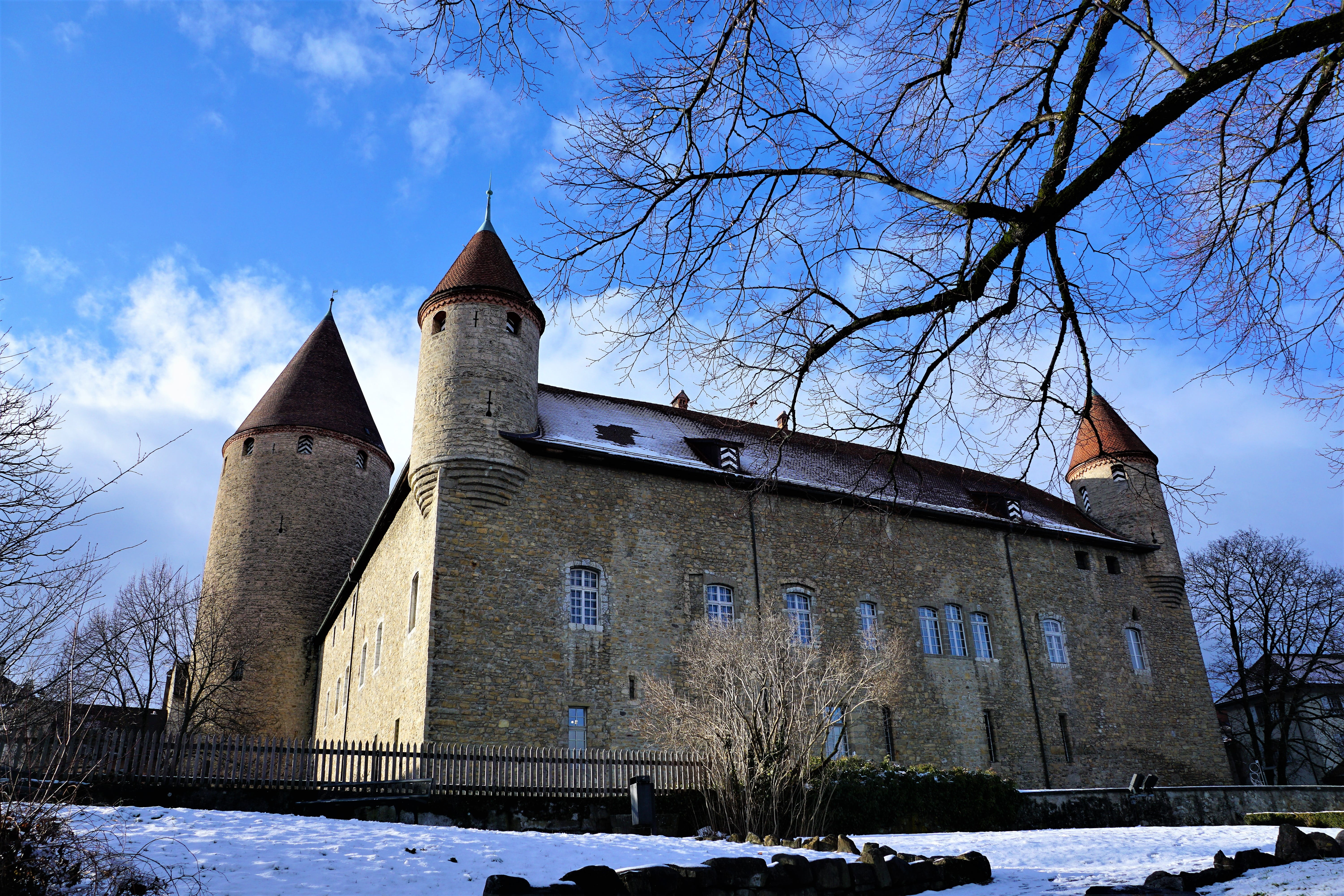 history, swiss, building exterior, tree, narrative, 5K, traditionally, winter, gruyere, place of worship, switzerland, bare tree, roof, travel, building, HD Wallpaper