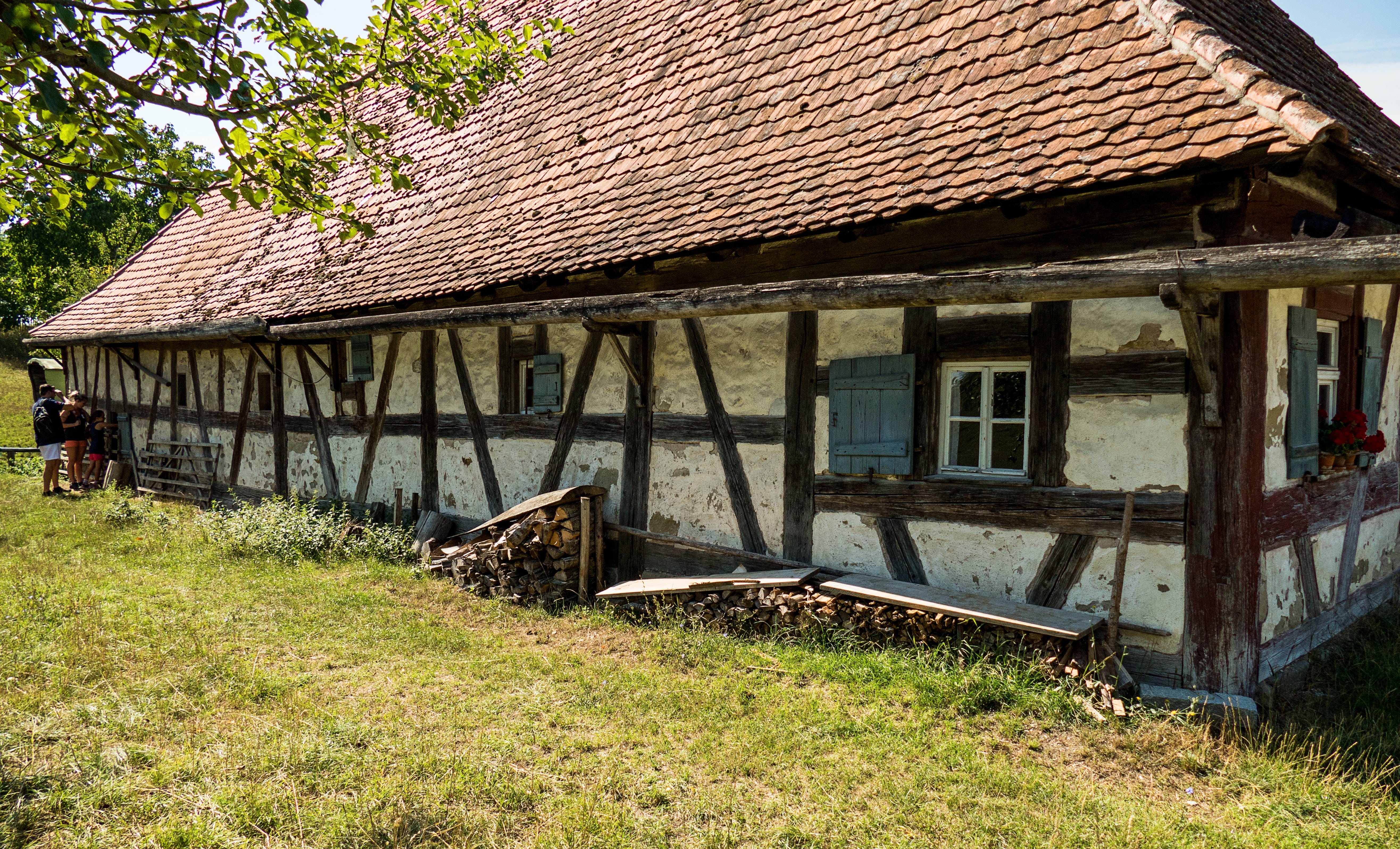 grass, sunlight, house, residential district, history, bad windsheim, roof, land, growth, culture, outdoors, old, historically, 5K, open air museum, plant, HD Wallpaper