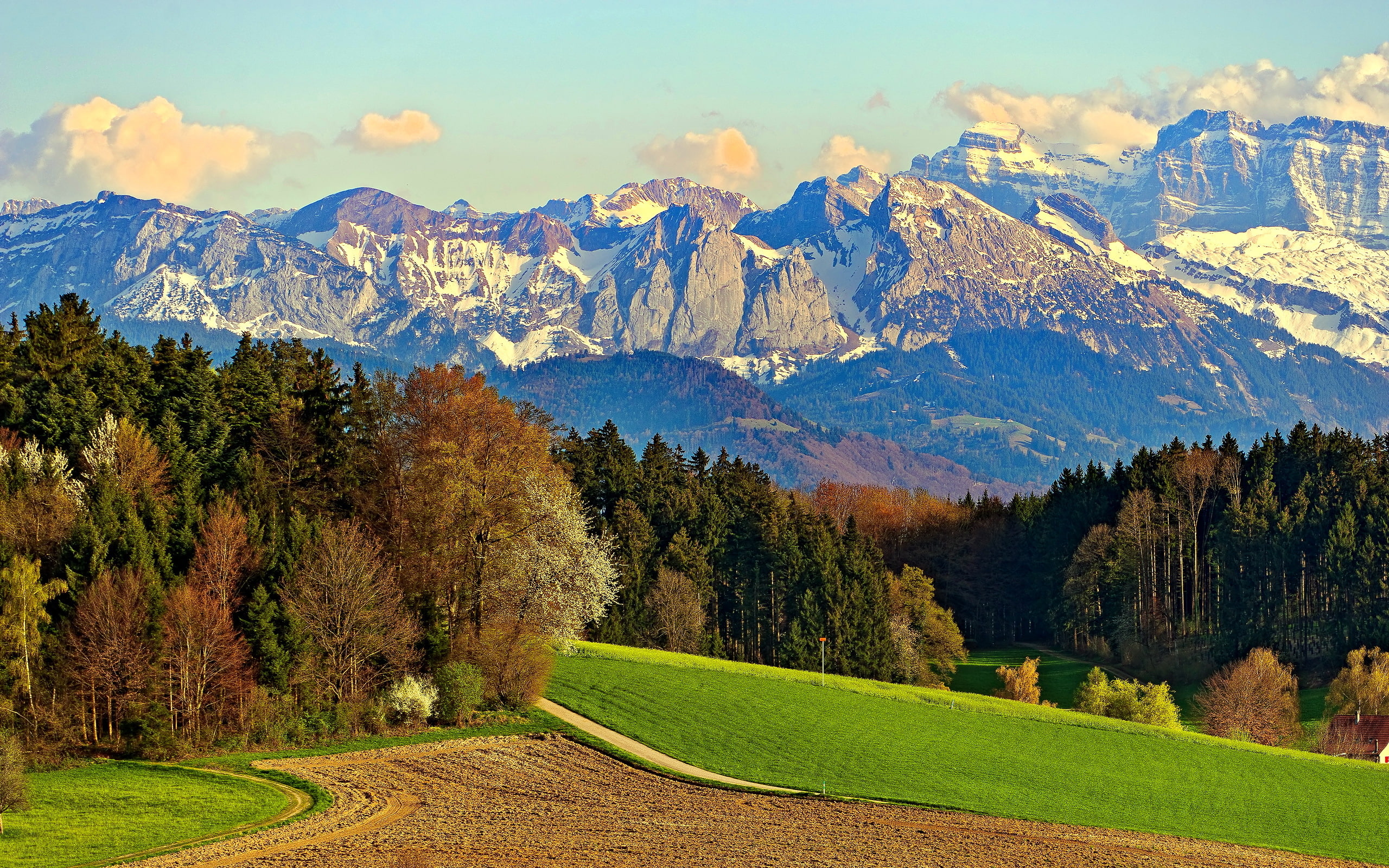 sunlight, lot, snow, dolomites, european Alps, mountain Range, green Color, 2K, springtime, idyllic, green, rocks, tree, no People, yellow, landscaped, HD Wallpaper