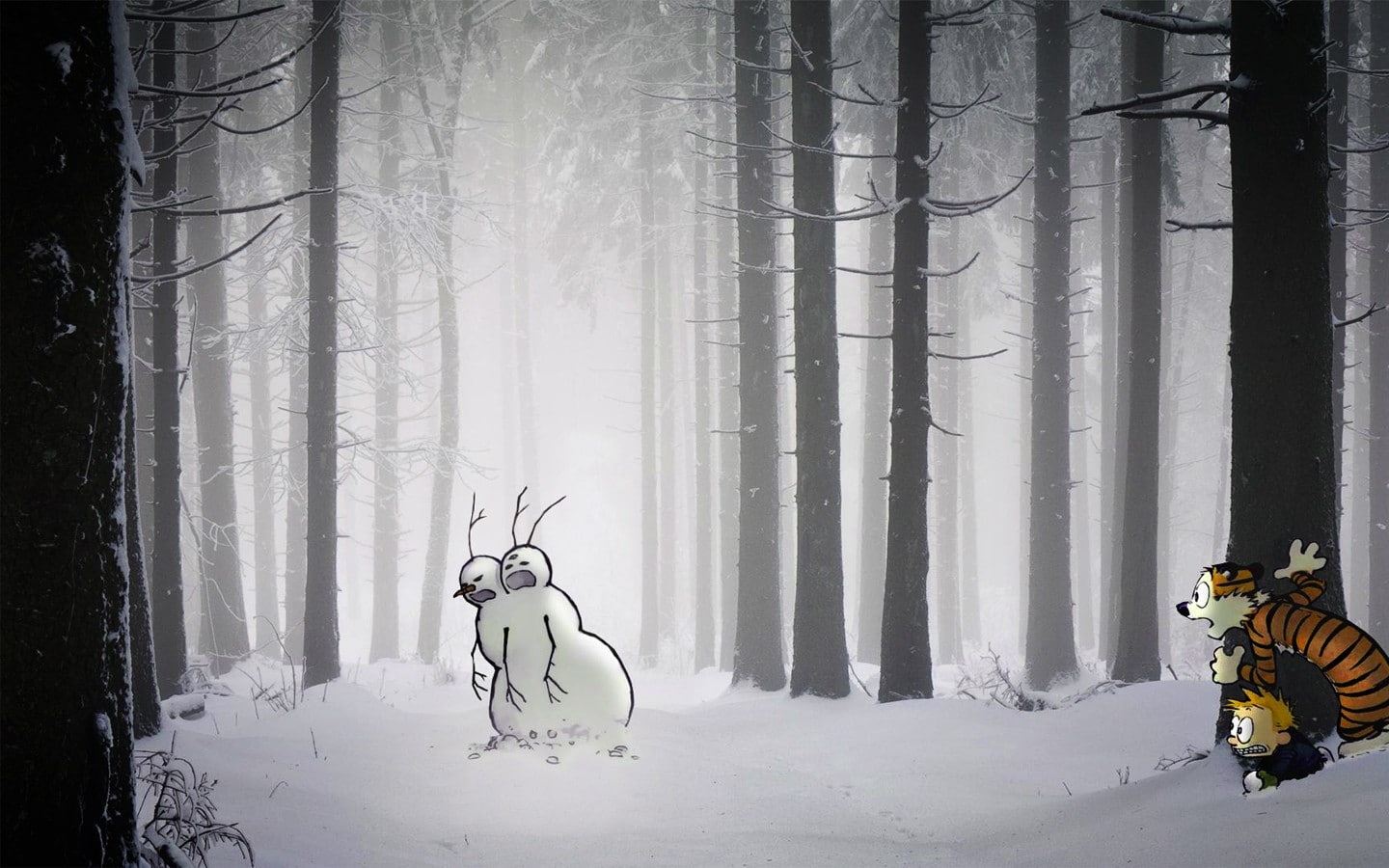 land, trunk, 720P, fog, covering, Calvin and Hobbes, white color, beauty in nature, tree trunk, day, forest, winter, snow, nature, outdoors, representation, HD Wallpaper