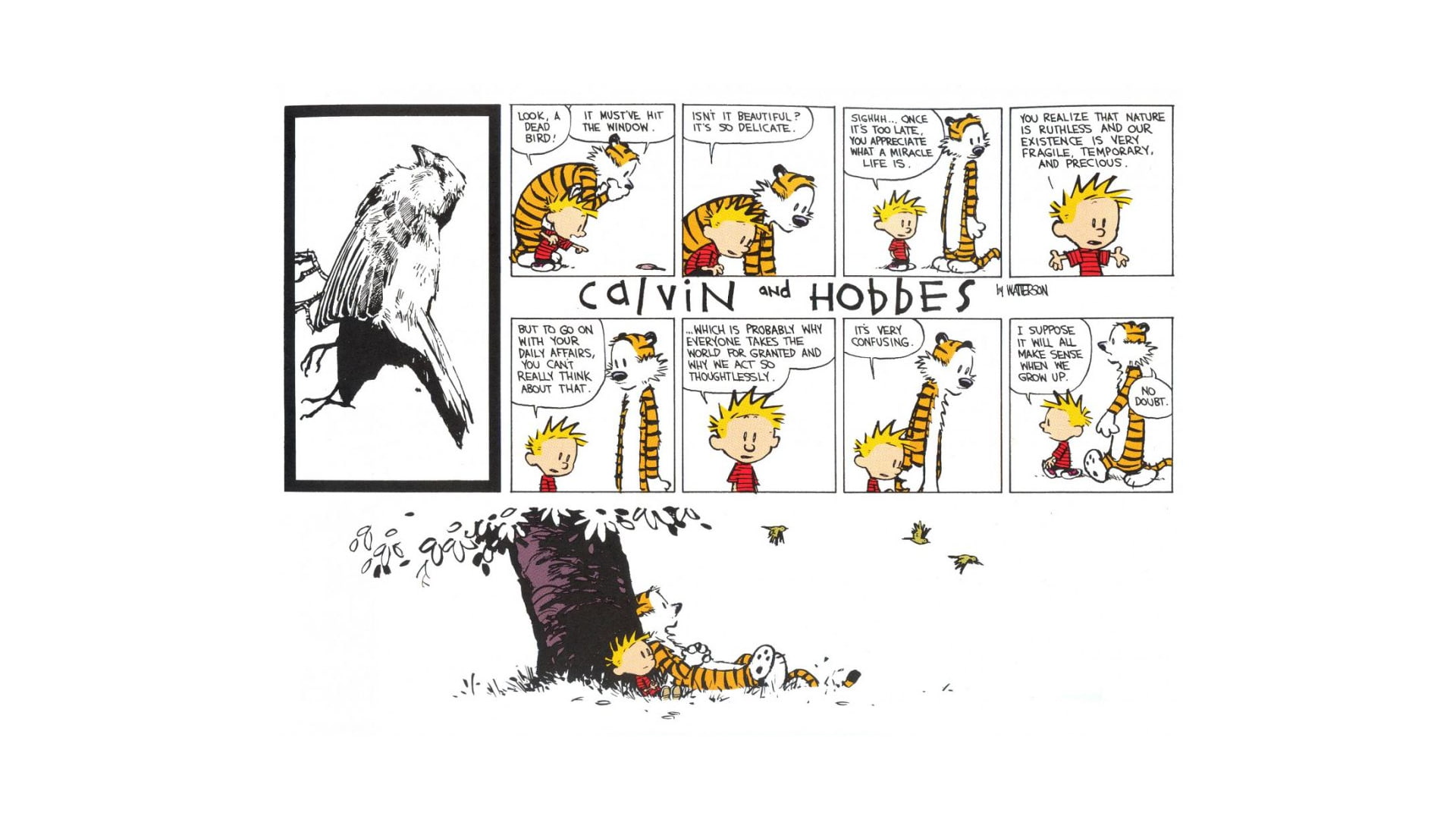 studio shot, frame, picture frame, indoors, art and craft, male likeness, cut out, Calvin and Hobbes, wall - building feature, female likeness, text, white background, HD Wallpaper