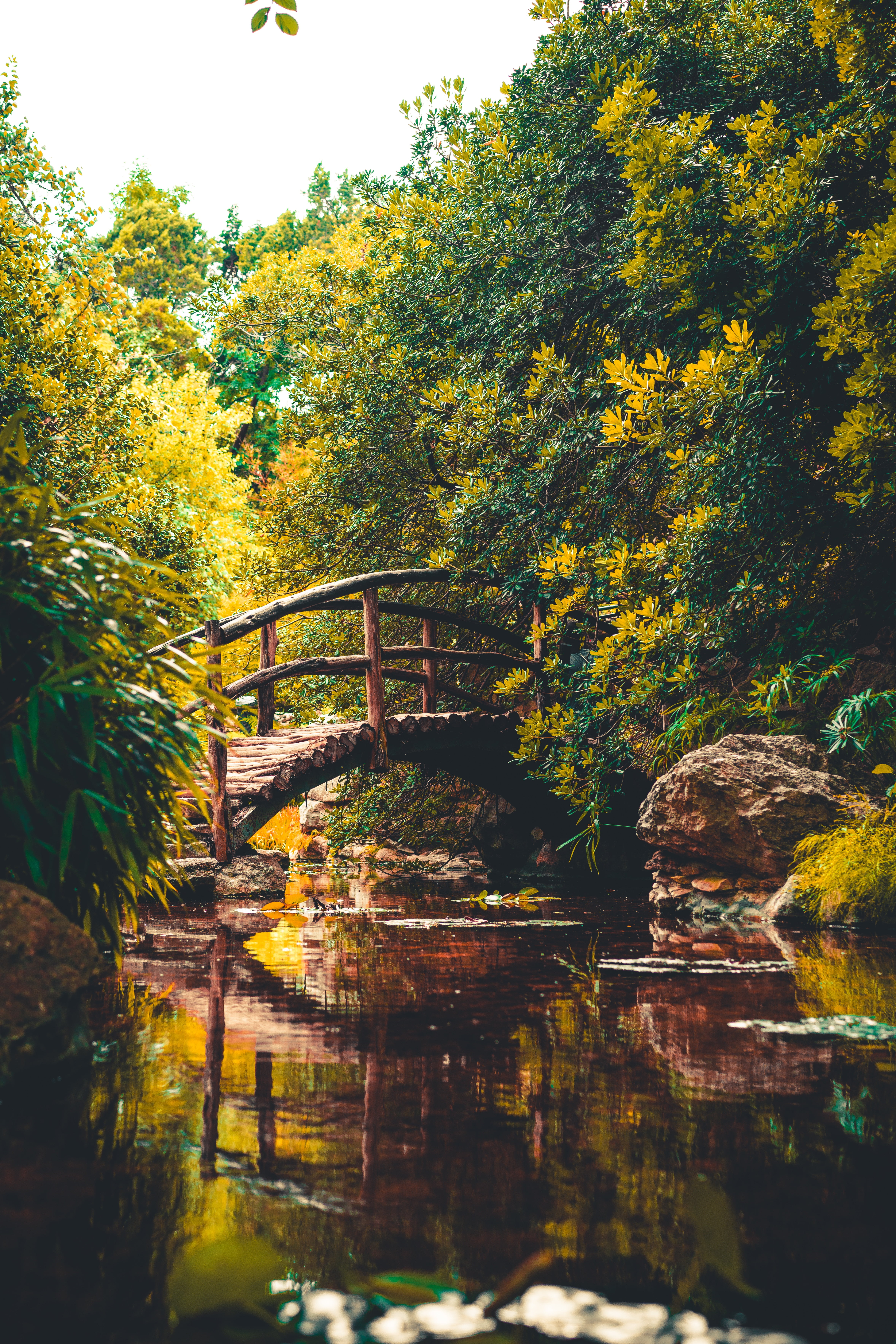 day, no People, wood - Material, lush Foliage, woodland, tranquility, lake, travel, brown, bridge - Man Made Structure, bridge, outdoors, leaf, wood, stream, Phone HD Wallpaper