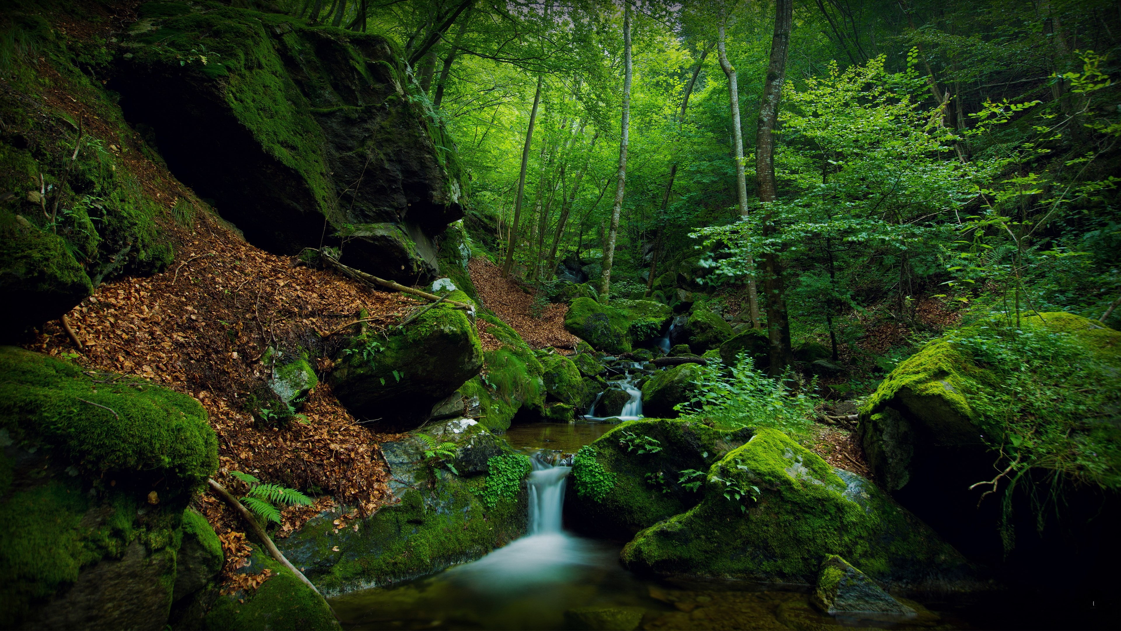 lush foliage, power in nature, long exposure, flowing water, water, flowing, foliage, stream - flowing water, outdoors, growth, rock, 4K, tree, scenics - nature, HD Wallpaper