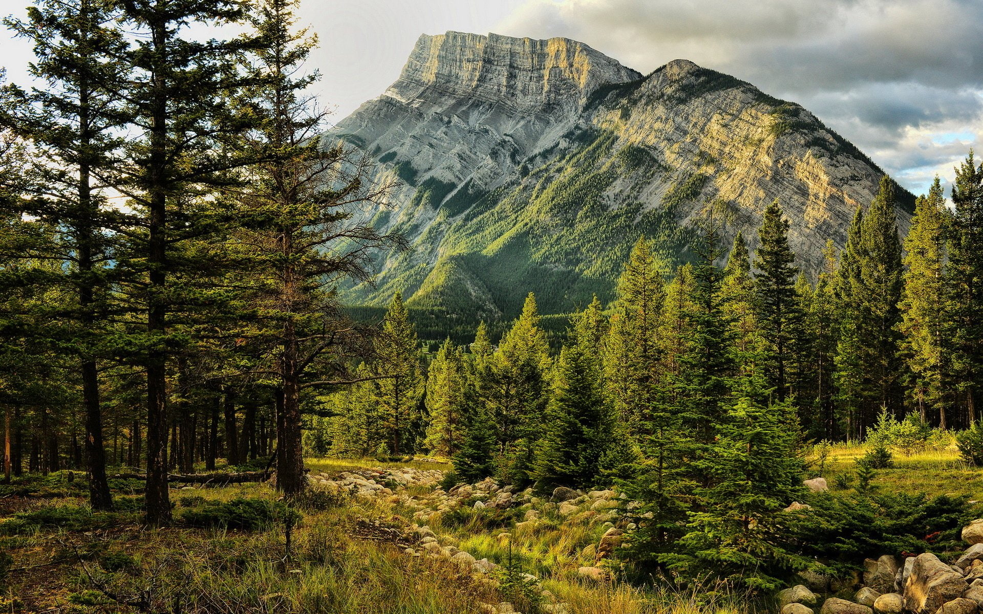 park, mount, national, alberta, light, banff, rundle, 1080P, early, canada, HD Wallpaper