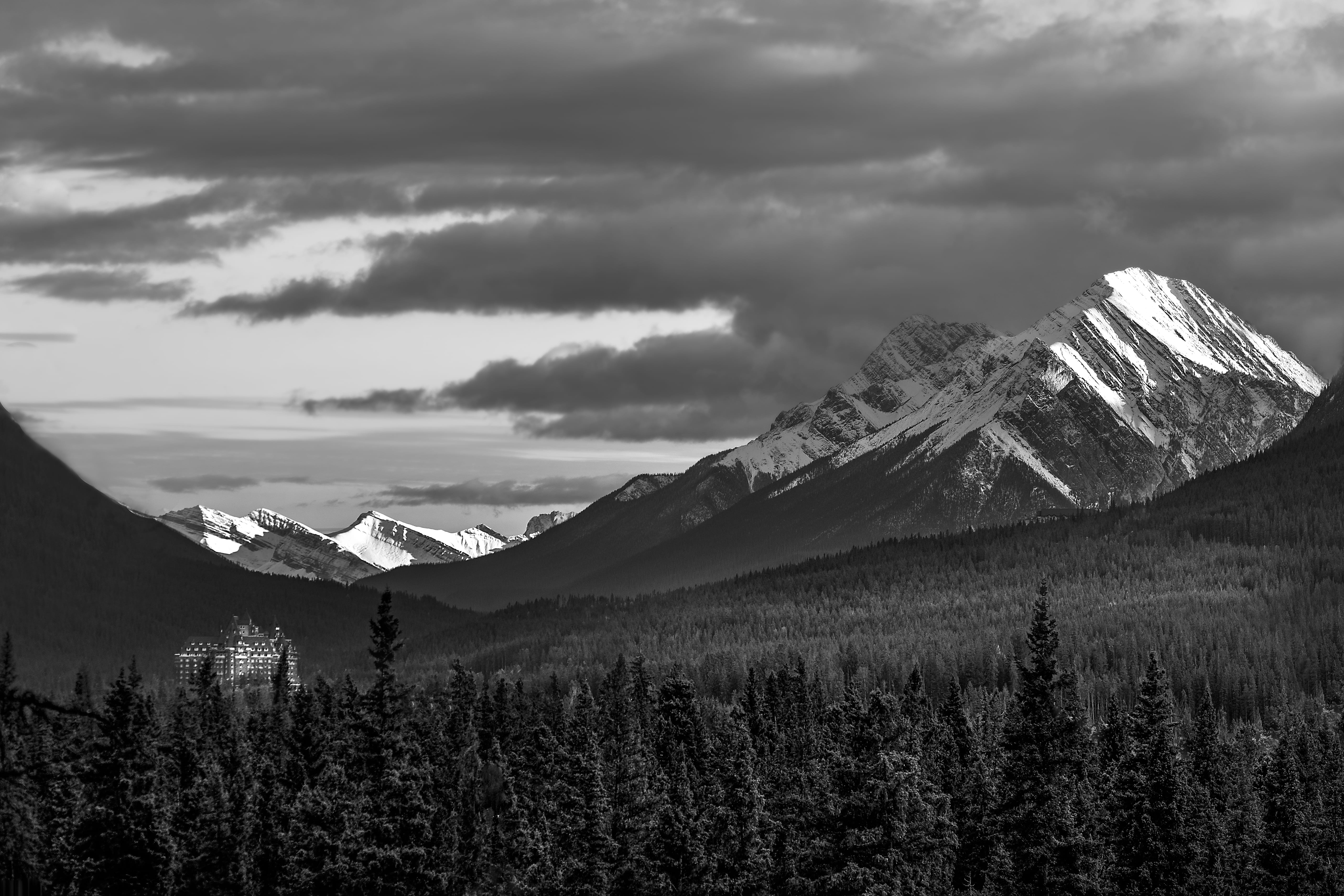 tree, scenic, clouds, cold temperature, sky, landscape, plant, covered, black-and-white, Mount Rundle, glacier, non-urban scene, mountain range, idyllic, HD Wallpaper