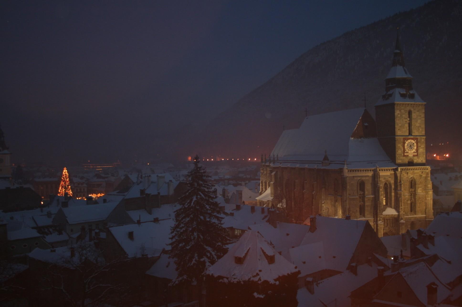 brasov, church, 1080P, black, animals, witer, HD Wallpaper