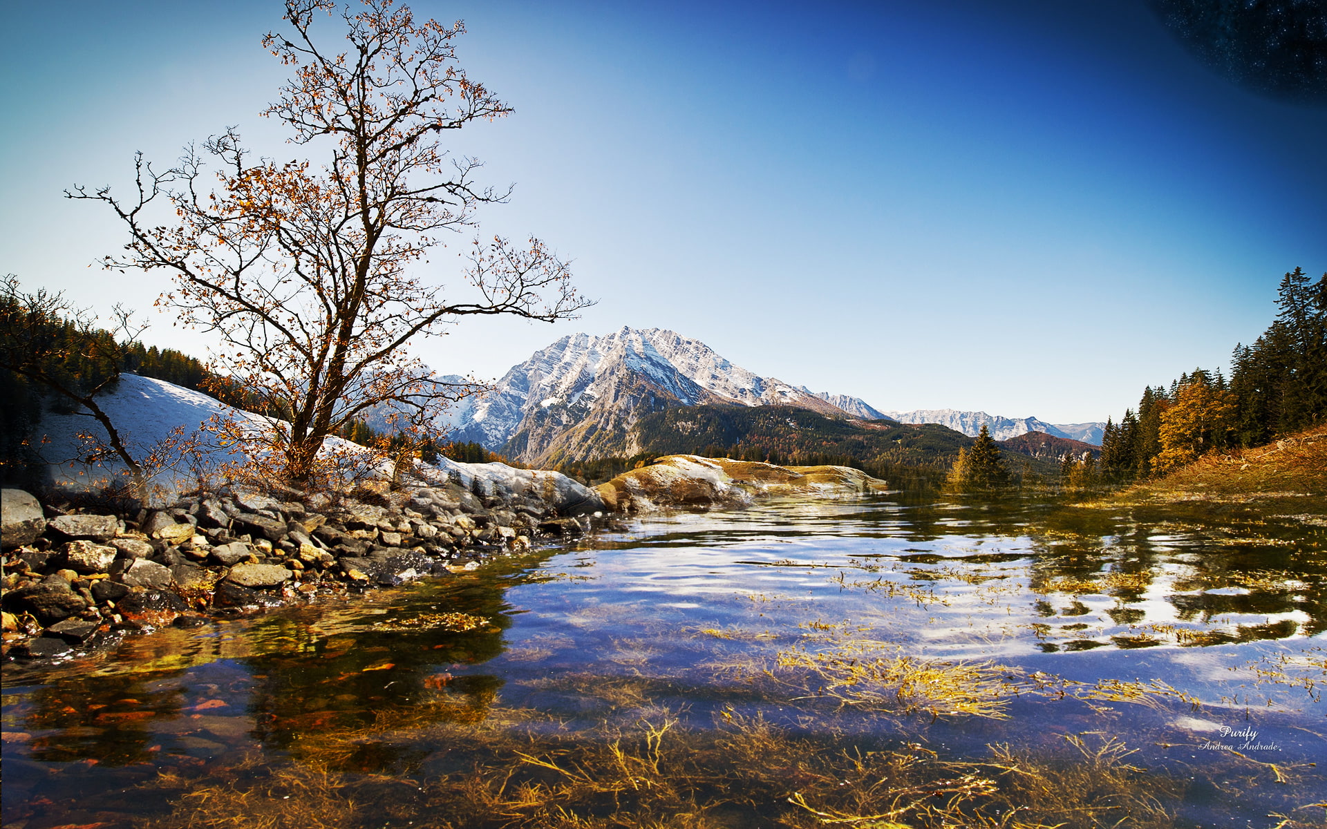Winter, early, Trees, 1080P, Mountains, HD Wallpaper