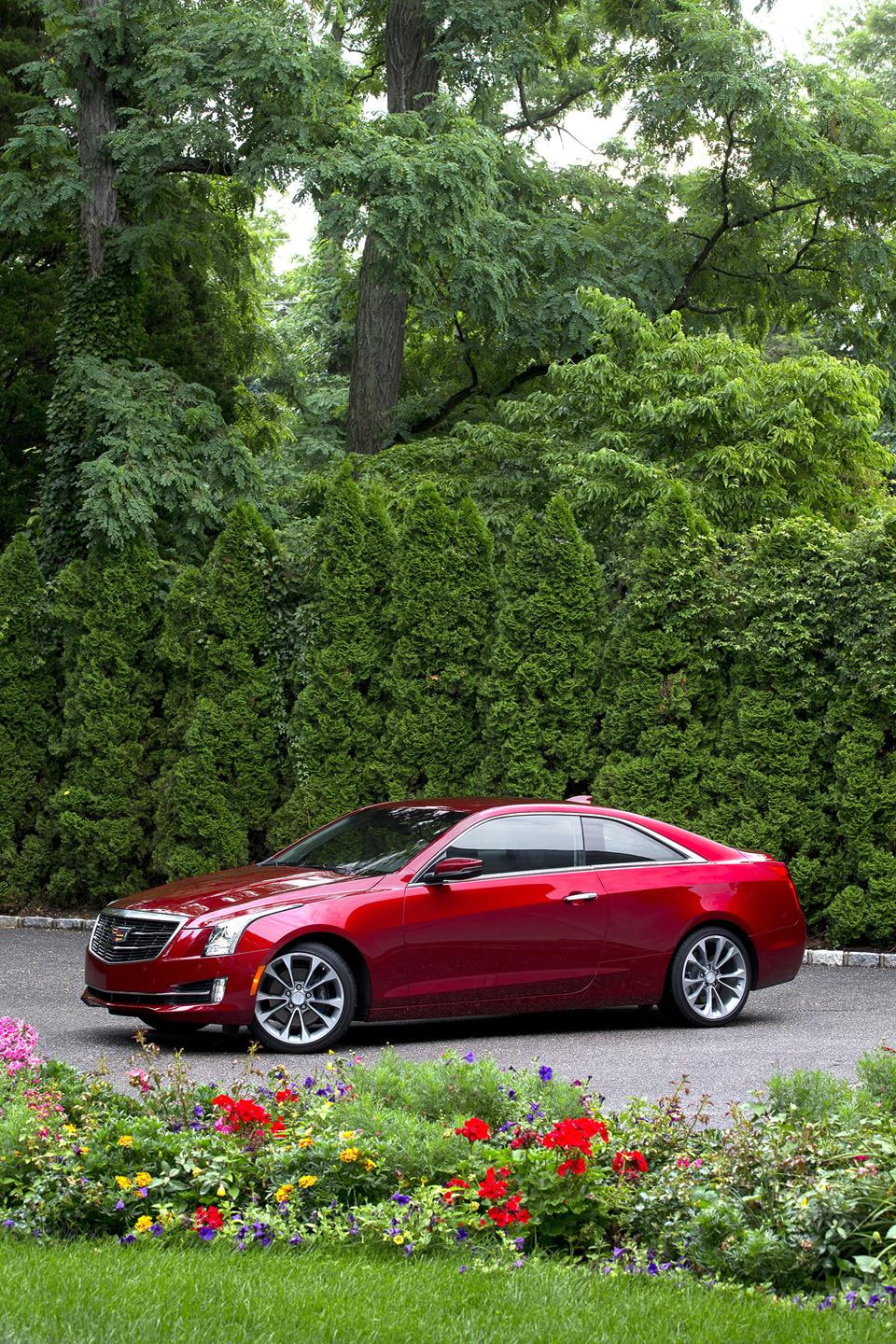 car, no people, tree trunk, forest, beauty in nature, land, green color, trunk, mode of transportation, tree, land vehicle, transportation, cadillac, 720P, Phone HD Wallpaper