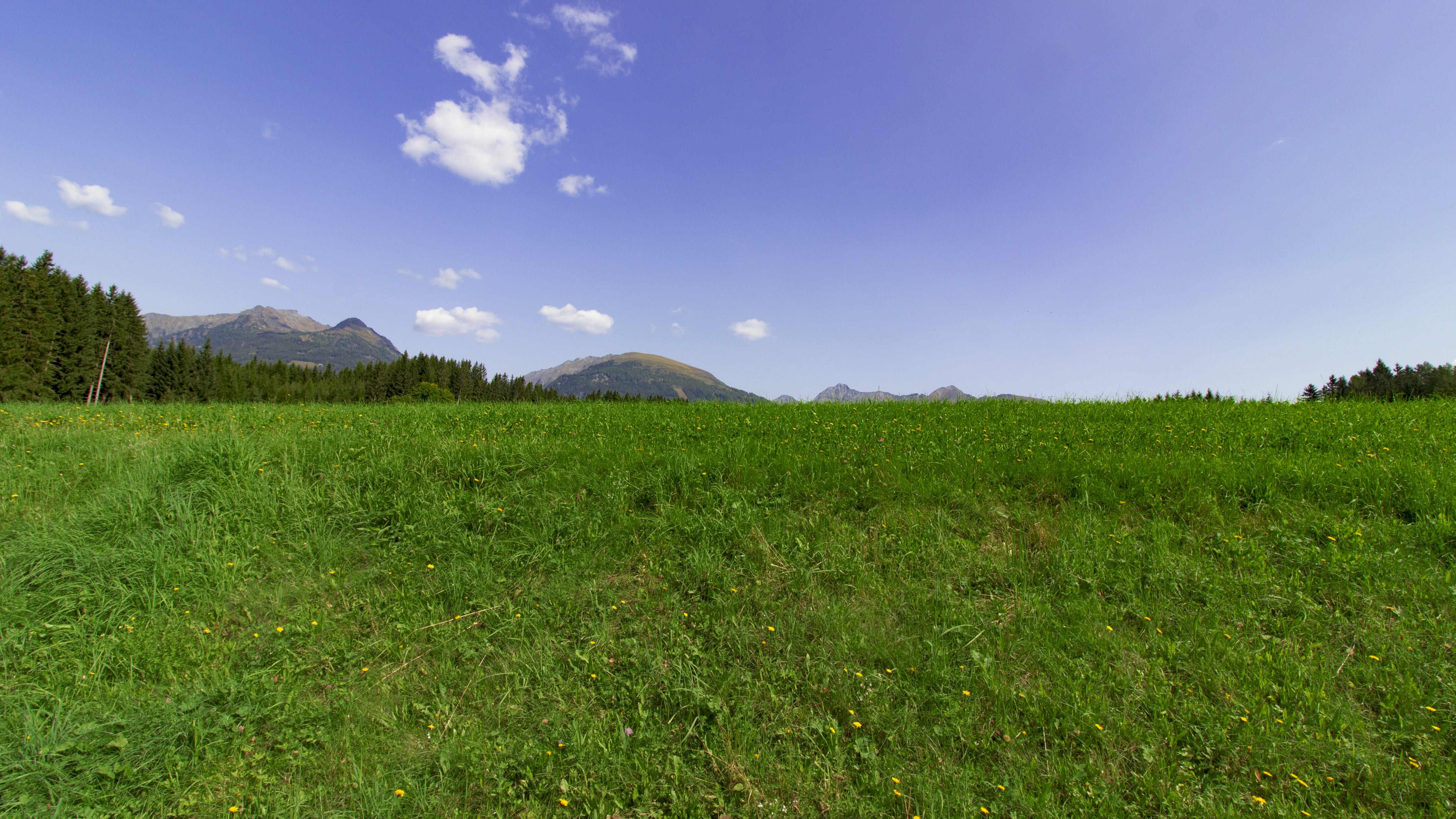 scenics - nature, tranquility, field, sky, salzburger land, lungau, environment, outdoors, view, nature, beauty in nature, grass, tree, summer, landscape, HD Wallpaper