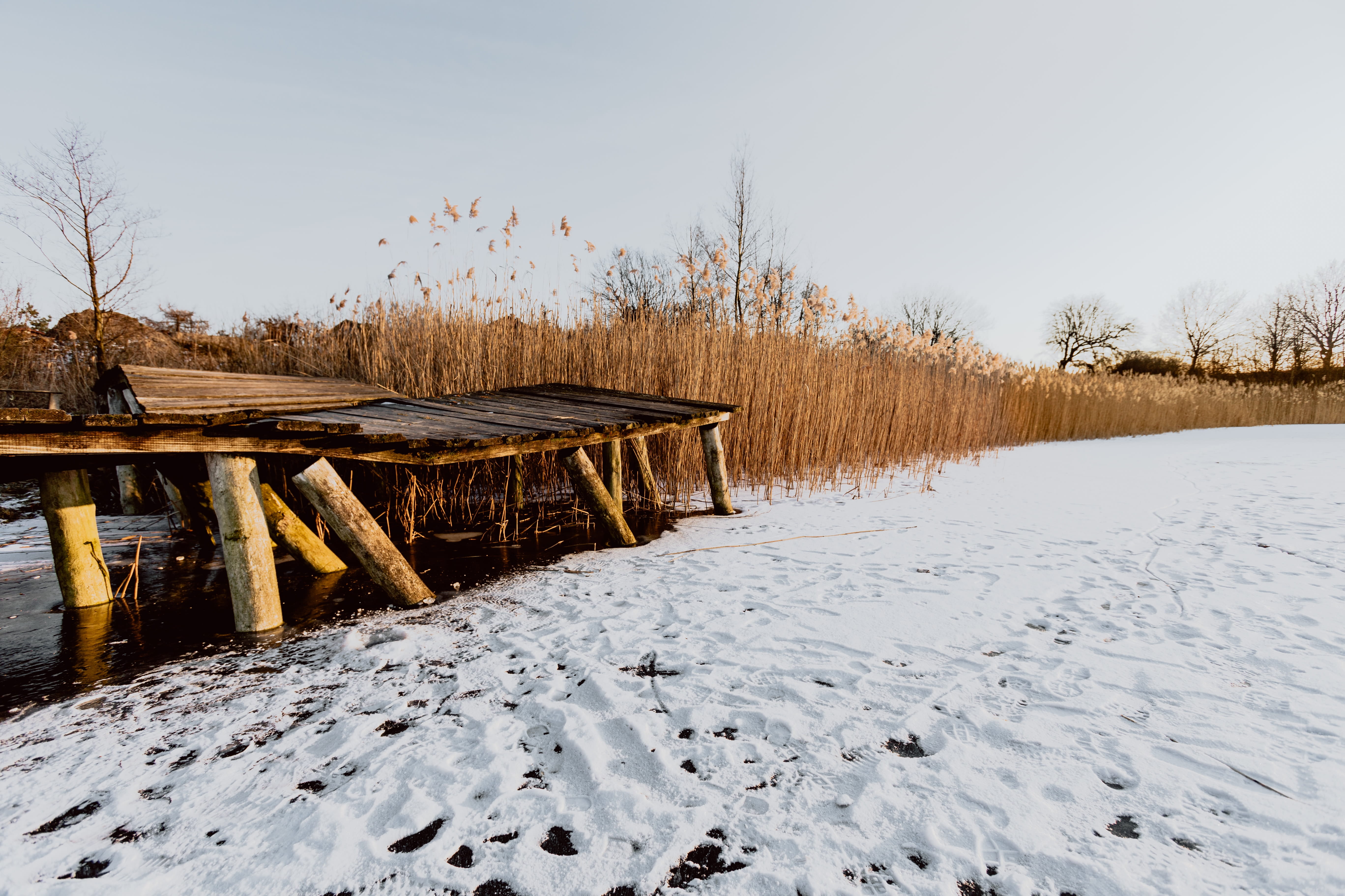 sky, no people, adventure, winter, tree, log, water, timber, wood, wood - material, snow, environment, day, 5K, lake, frozen, magic hour, white color, HD Wallpaper