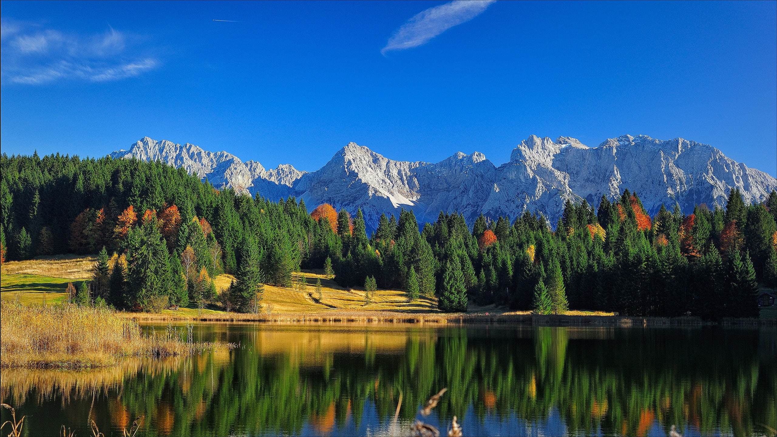 mountains, Germany, mirror, sheds, green, shore, reflection, Christmas trees, light, rocks, 2K, water surface, ate, pond, the slopes, nature, tops, the sky, HD Wallpaper