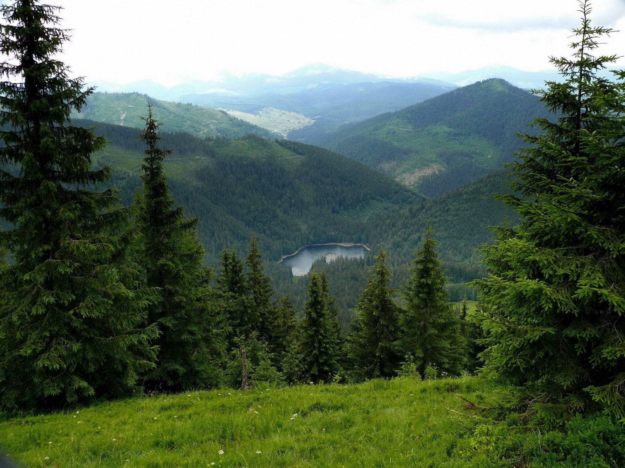 mountain Peak, forest, lake, Ukraine, green Color, color Image, outdoors, trees, water, beauty In Nature, no People, green, Transcarpathia, rural Scene, HD Wallpaper