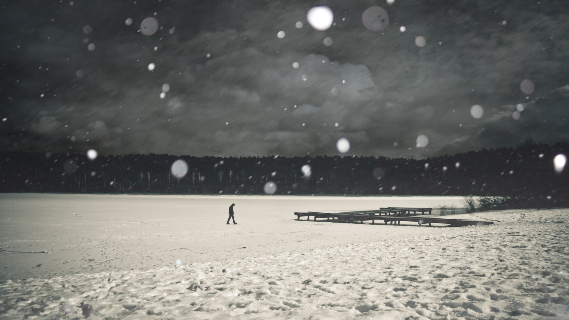 ice cream, bokeh, people, forest, alone, monochrome, nature, snow flakes, winter, snow, men, landscape, frozen lake, dark, pier, lake, 1080P, trees, walking, HD Wallpaper