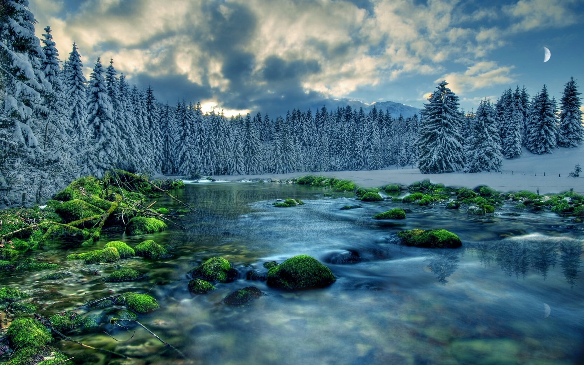 trees, tranquil scene, sky, flowing water, mountain, river, outdoors, tranquility, coniferous tree, no people, tree, plant, land, snow, forest, HD Wallpaper