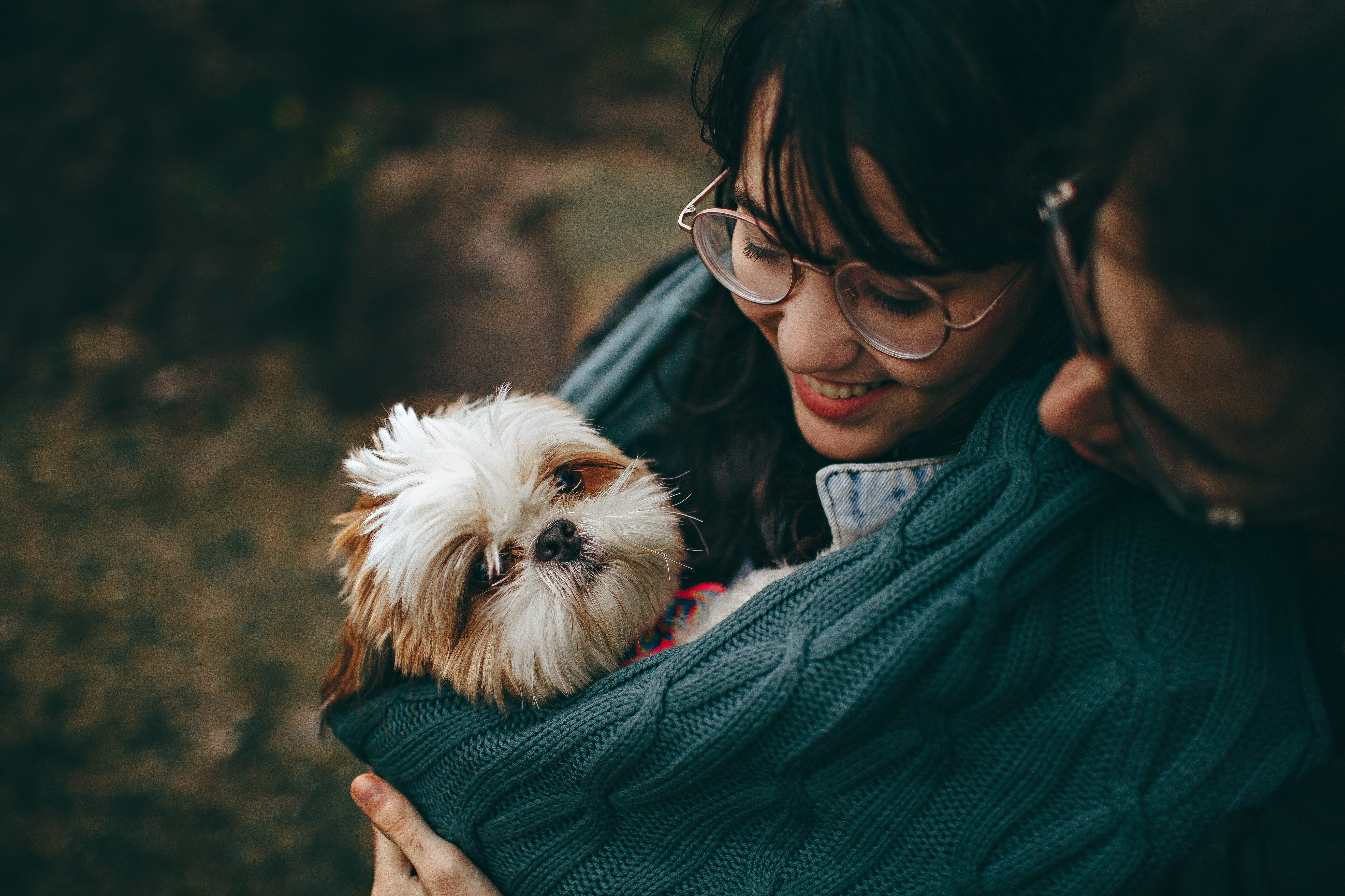 domestic, facial expression, animal lover, close-up, emotion, pets, young adult, people, women, domestic animals, holding, mammal, small, white, bonding, HD Wallpaper