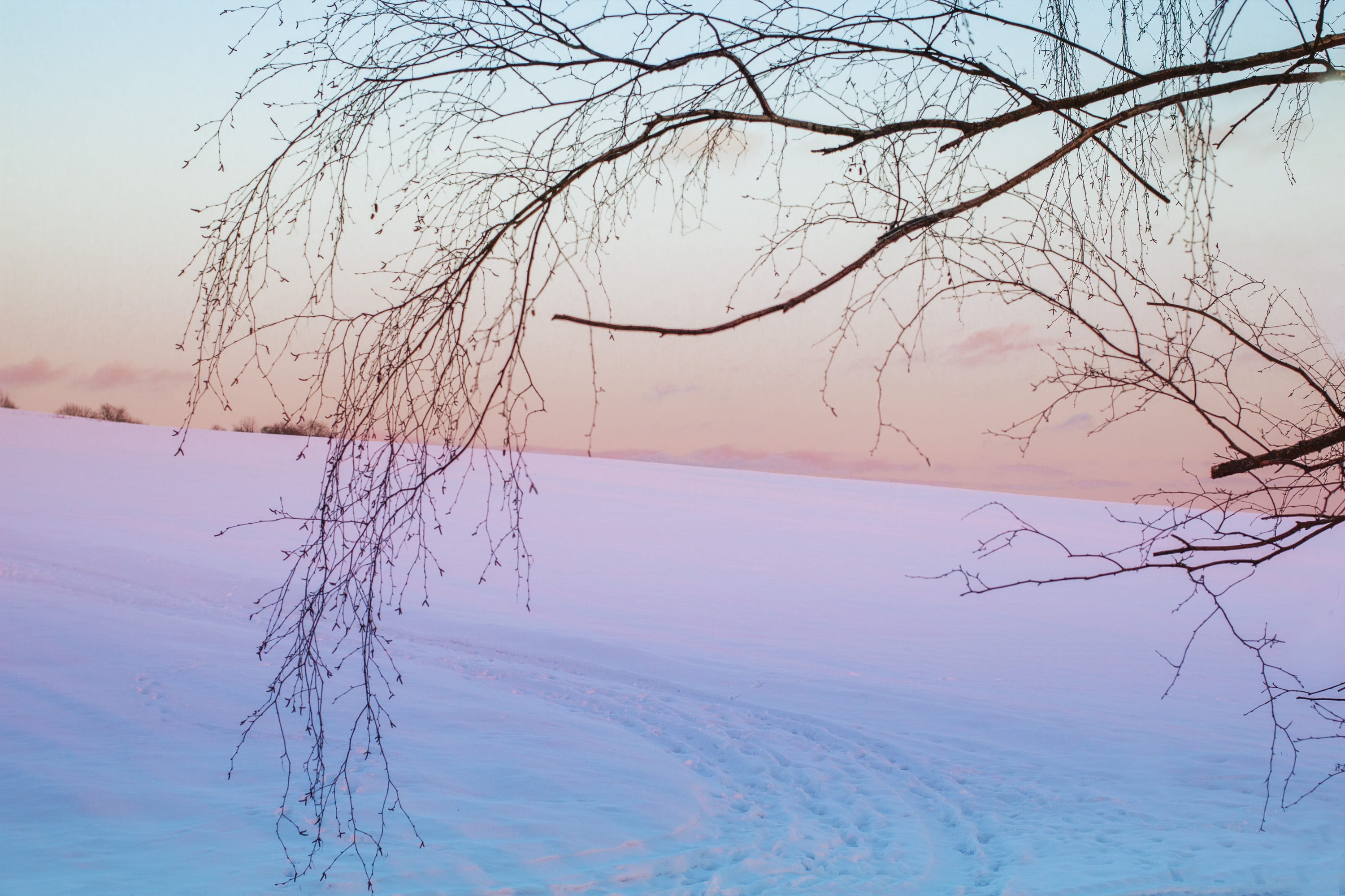 water, sunbeam, away, winter dream, White, Shadow, sunlight, shadow, sun, no people, branch, tranquility, back light, lake, footprints, cold temperature, HD Wallpaper