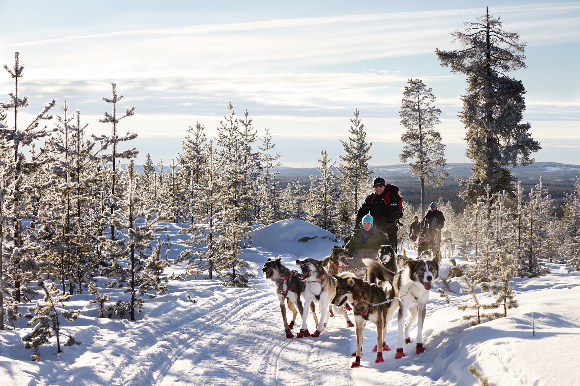 pets, sibirian husky, nature, land, slide, wolves, domestic, siberian husky, landscape, pulling, person, dog, tree, two, cold temperature, outdoors, riding, HD Wallpaper