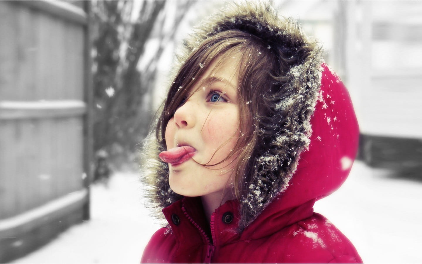 cold temperature, hoods, women, children, close-up, headshot, day, s, extreme weather, outdoors, hoodie, real people, snow, warm clothing, focus on foreground, HD Wallpaper