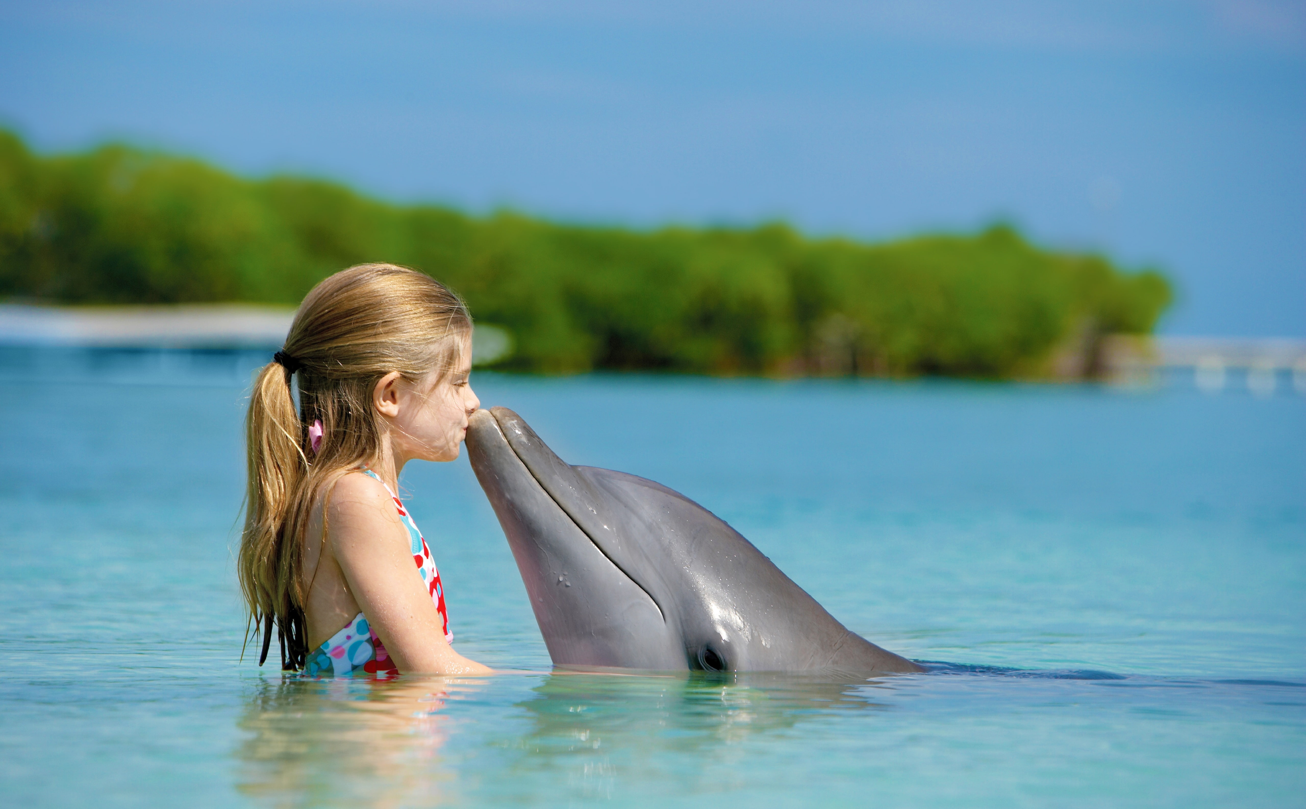 lifestyles, outdoors, Kiss, nature, 5K, real people, one person, leisure activity, gray, day, hairstyle, mammal, animal wildlife, swimming pool, Cute, HD Wallpaper