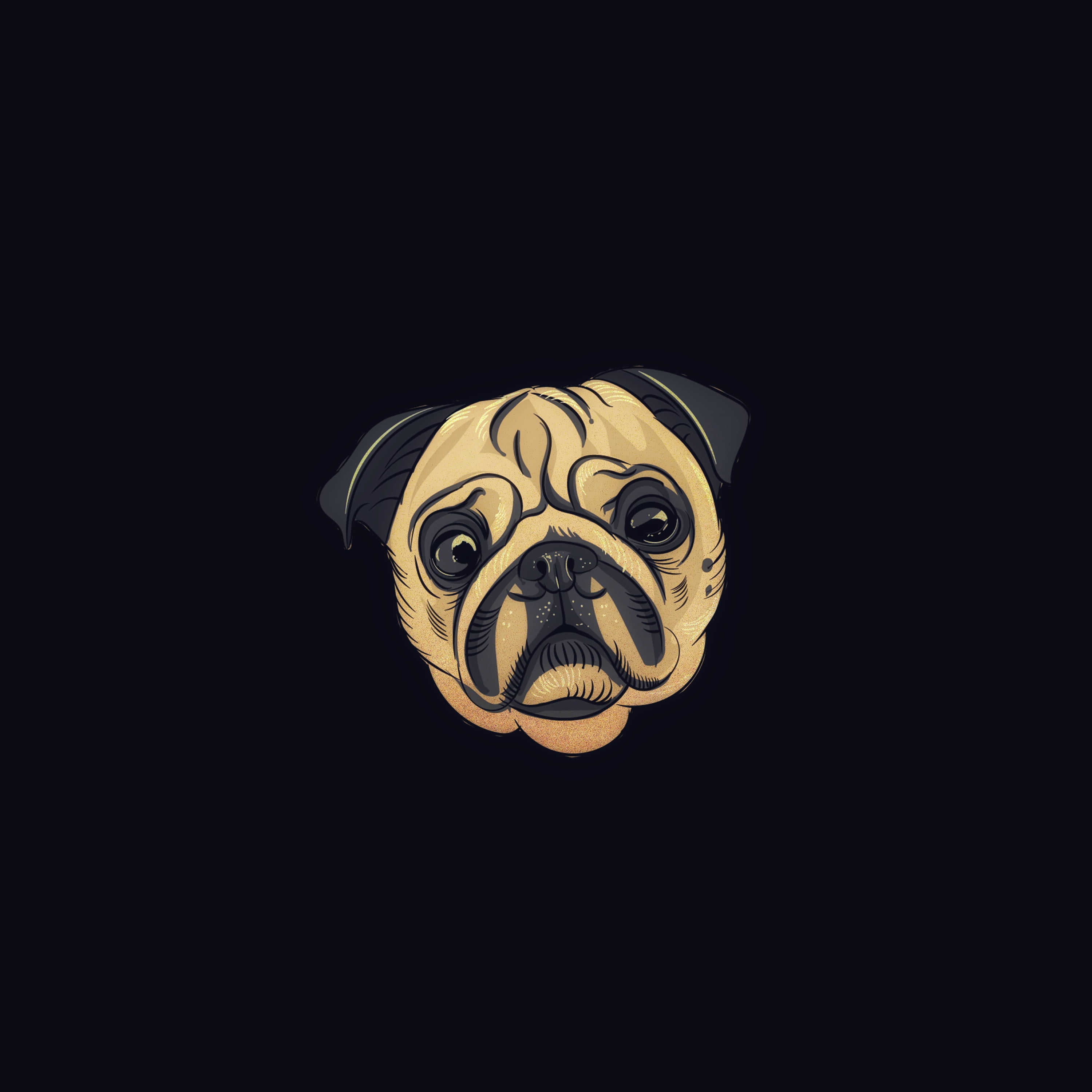 animal head, mask, one animal, animal representation, 2K, art, no people, feline, animal wildlife, mammal, art and craft, cut out, dog, disguise, black background, Phone HD Wallpaper