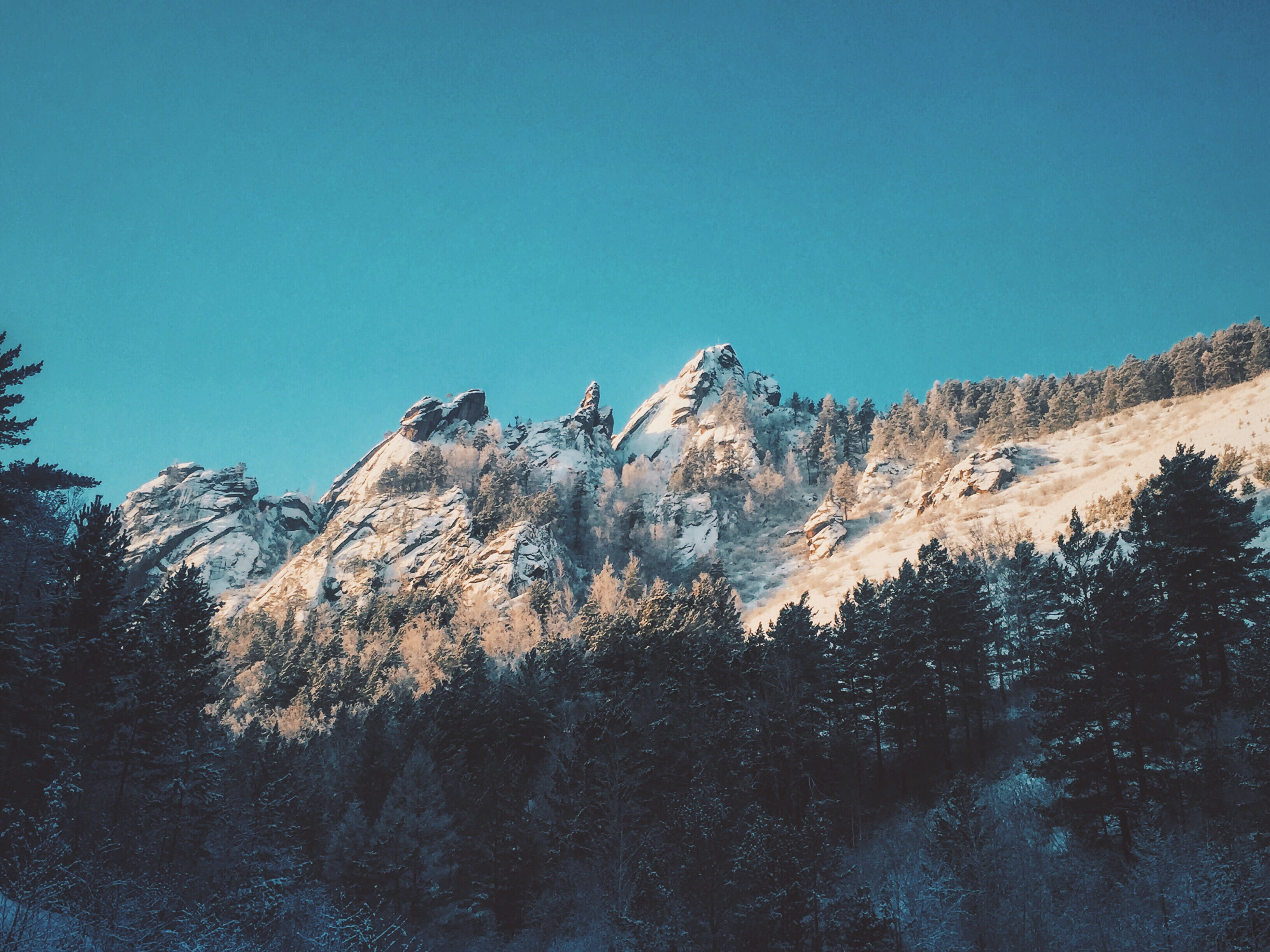 clear sky, россия, coniferous tree, environment, non-urban scene, mountain peak, winter, mountain range, pine tree, land, no people, beauty in nature, day, HD Wallpaper