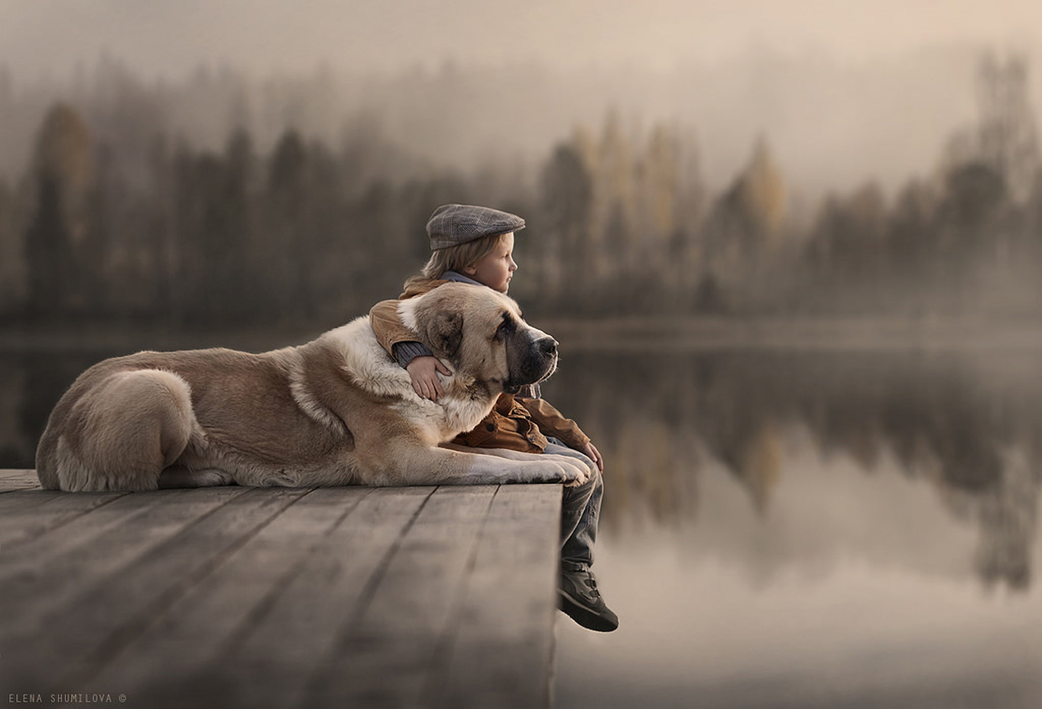 domestic, children, 1080P, fog, photography, day, dog, water, mouth open, nature, pets, tree, animal themes, one animal, lake, relaxation, animals, vertebrate, HD Wallpaper