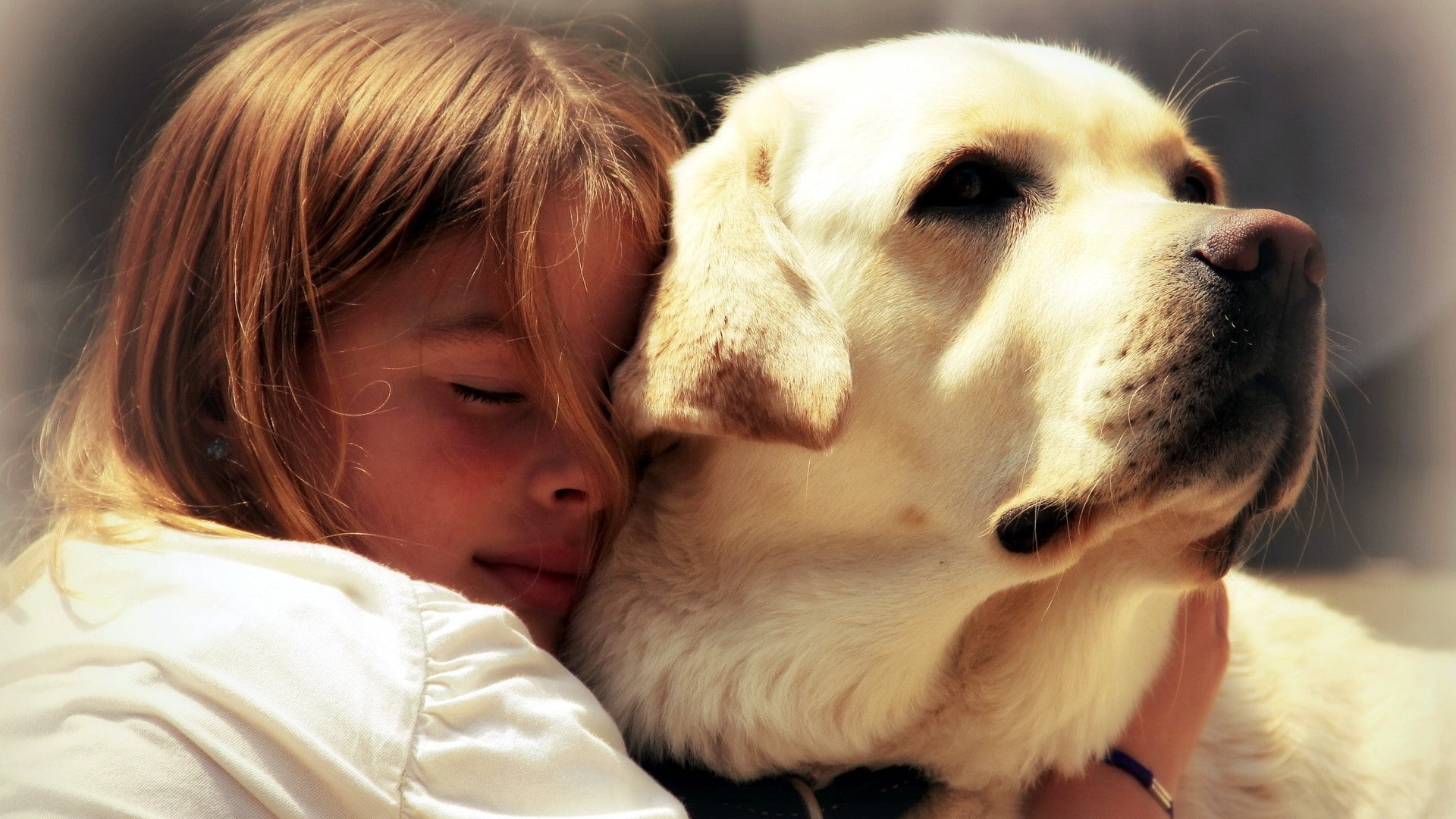 girls, close-up, canine, children, indoors, domestic, cute, hairstyle, childhood, innocence, headshot, pets, dog, one person, mammal, domestic animals, HD Wallpaper