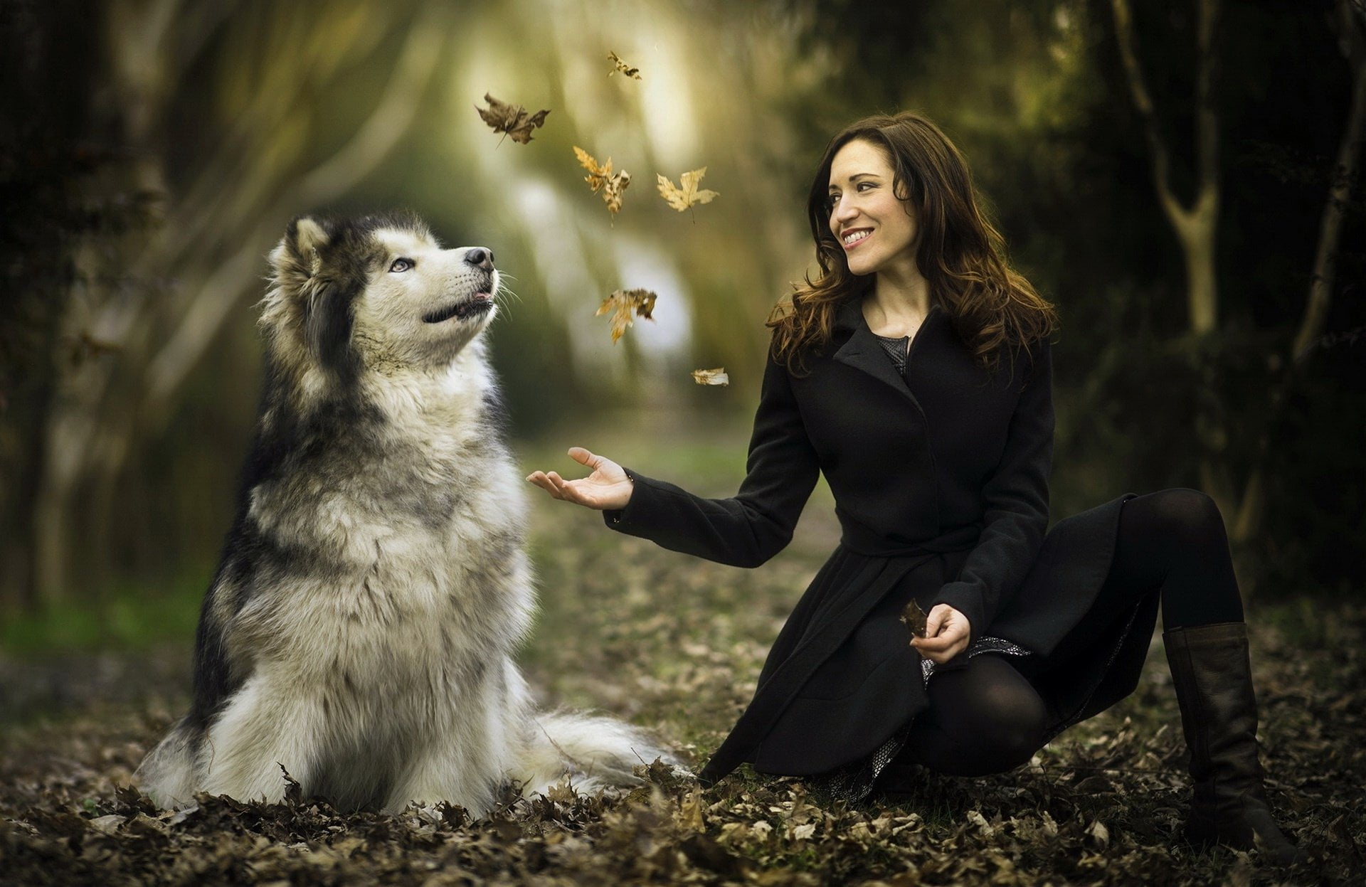 Smile, nature, adult, sitting, brown hair, Dog, fashion, Girl, Brunette, Model, Woman, Women, Alaskan Malamute, smiling, mammal, Mood, Depth Of Field, domestic animals, HD Wallpaper