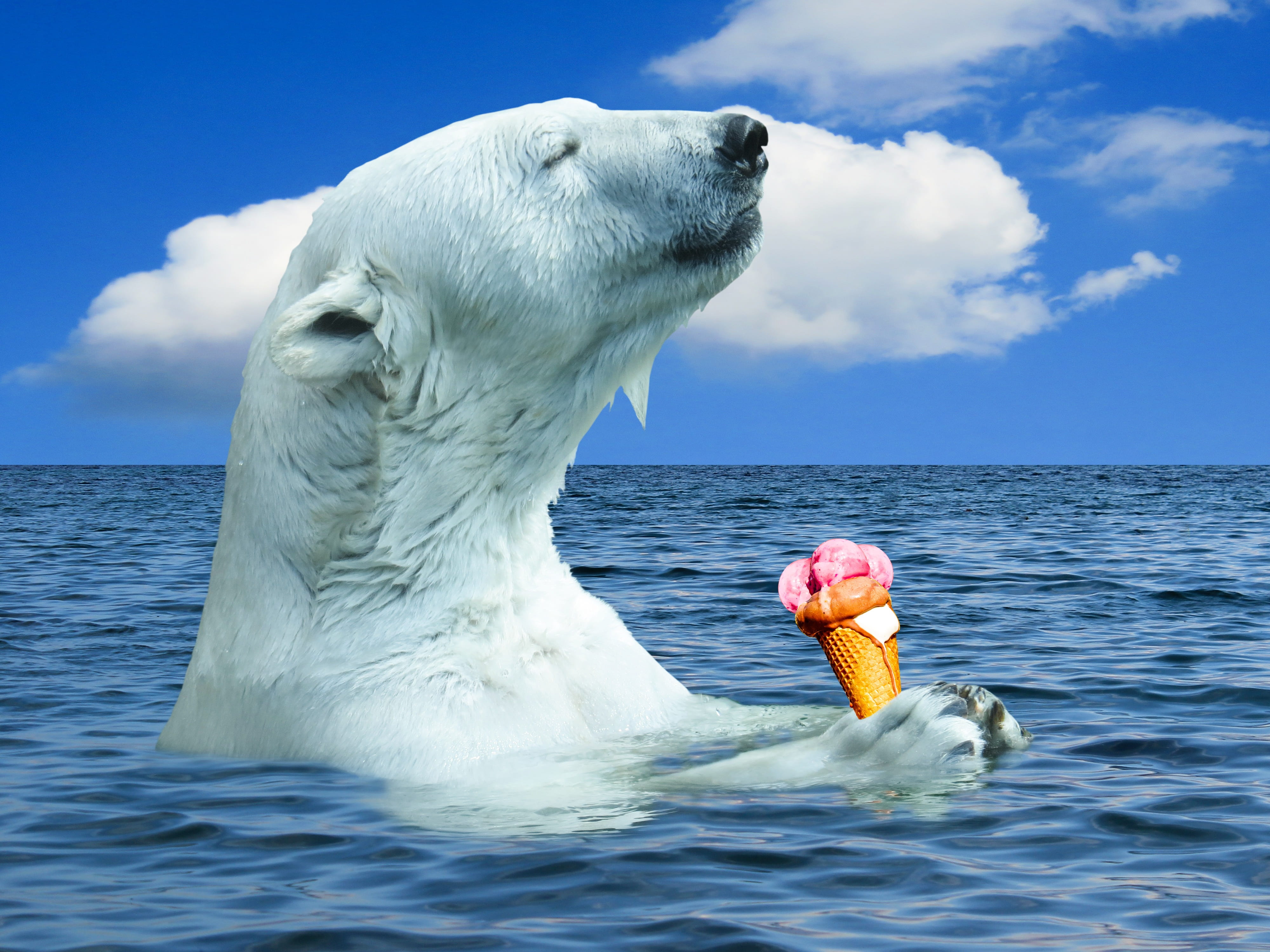 day, break, outdoors, animal, enjoy, horizon over water, arctic, animal themes, frosty, relaxation, polar bear, sea, cooling, mammal, landscape, nature, HD Wallpaper