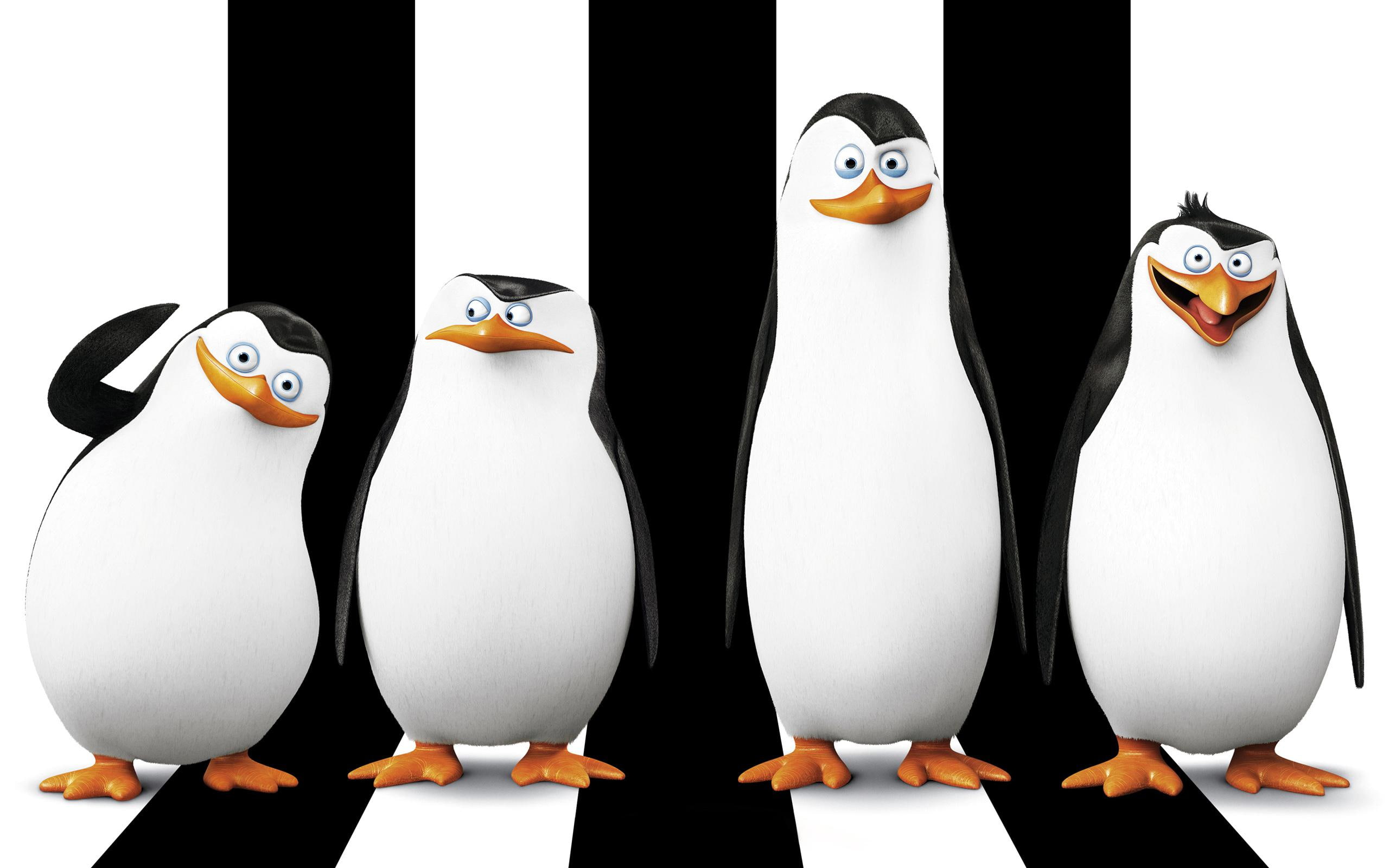 madagascar, penguins, 2K, HD Wallpaper