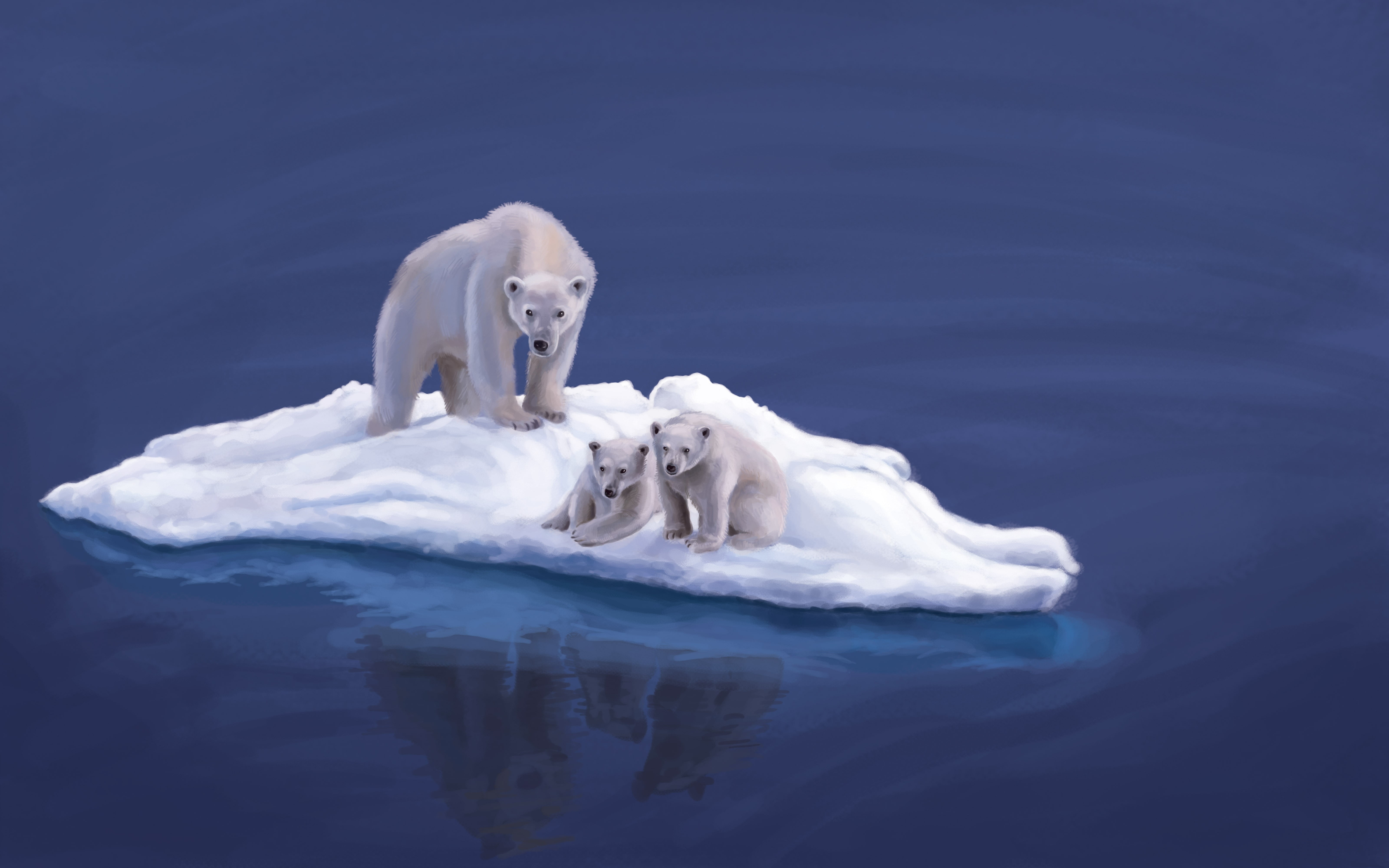 three, wildlife, mammal, day, white color, animal wildlife, snow, carnivore, north Pole, sea, island, outdoors, animal, ice, cute, animal themes, winter, HD Wallpaper