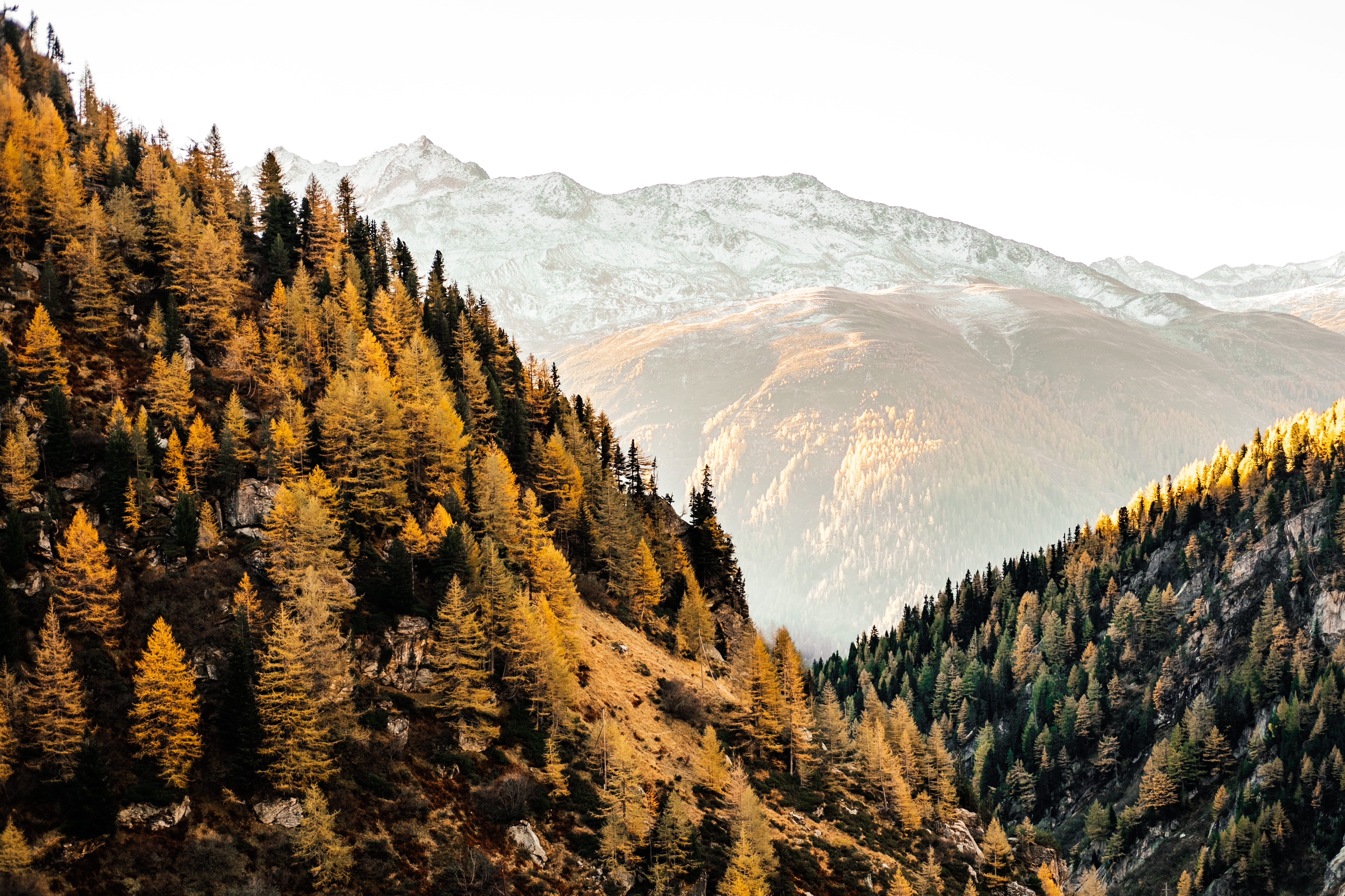 mountain peak, non-urban scene, winter, cold temperature, no people, idyllic, 5K, beauty in nature, sky, pine tree, land, tree, valleys, autumn, mountain, HD Wallpaper