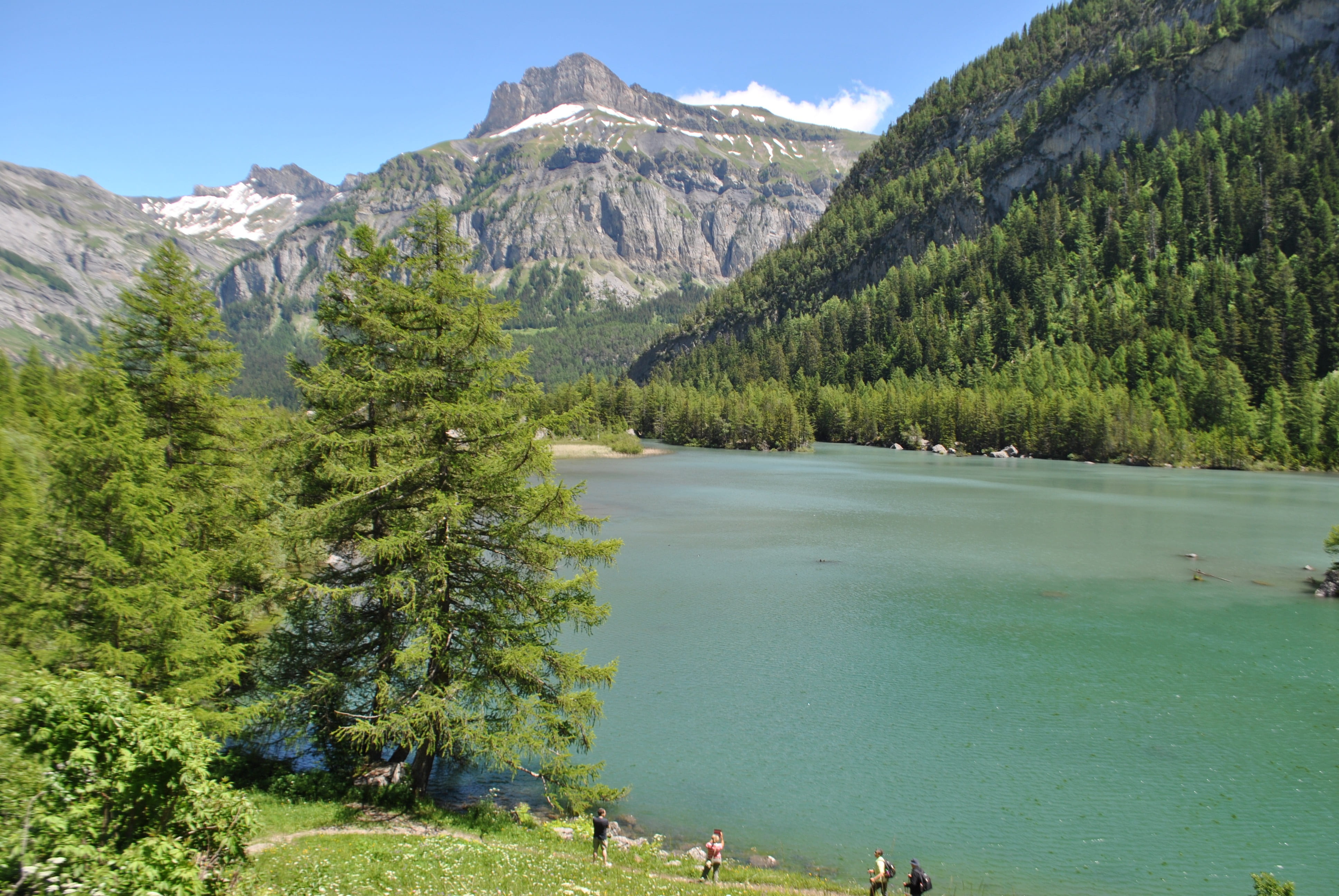 under wallis, idyllic, tranquil scene, green, plant, liquid, tree, nature, day, tranquility, sky, summer, scenics - nature, 4K, trees, mountains, panorama, HD Wallpaper