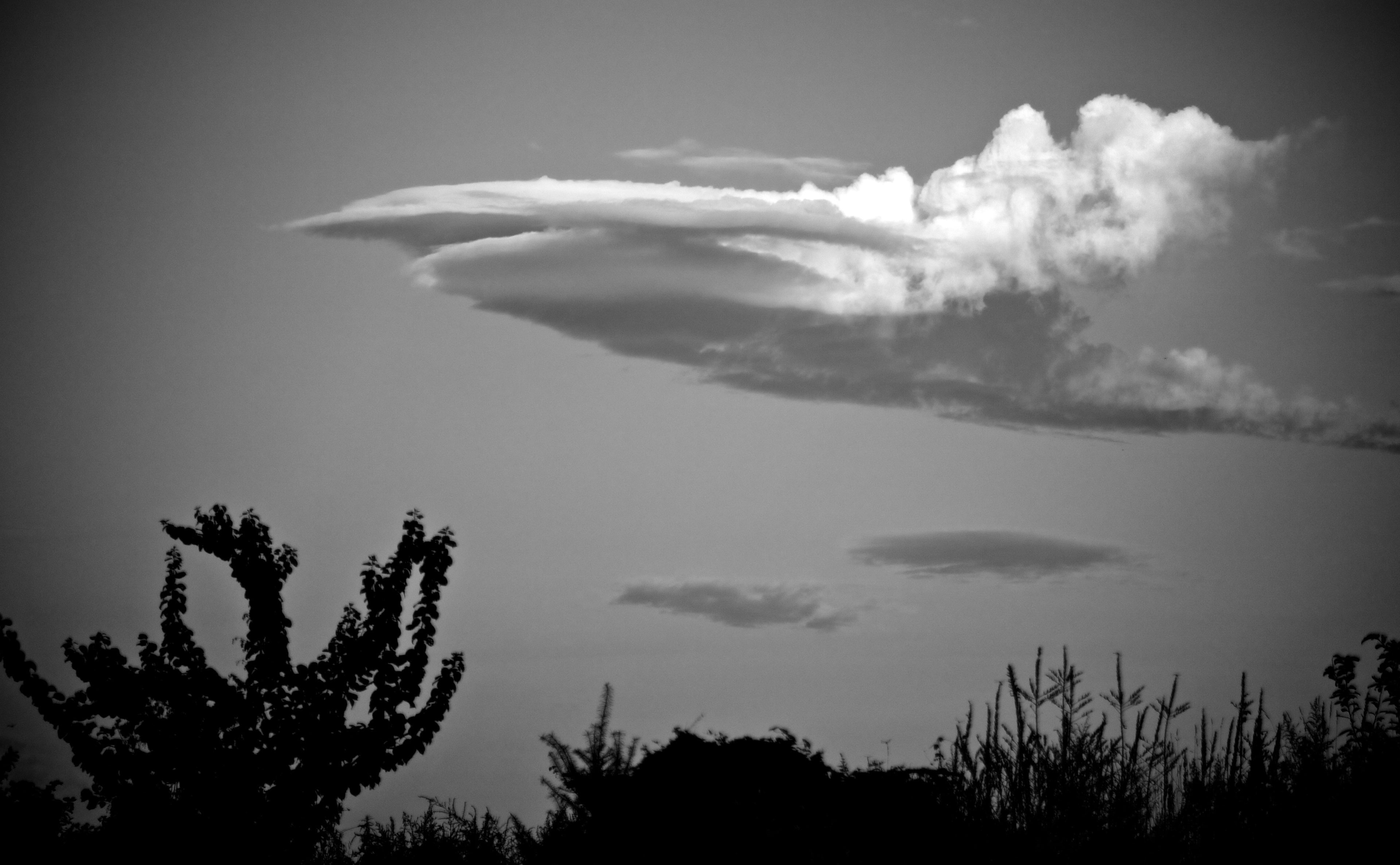 non-urban scene, idyllic, growth, cloud - sky, scenics - nature, tree, Cloud, Monochrome, Lenticular, tranquil scene, environment, dusk, Black and White, HD Wallpaper