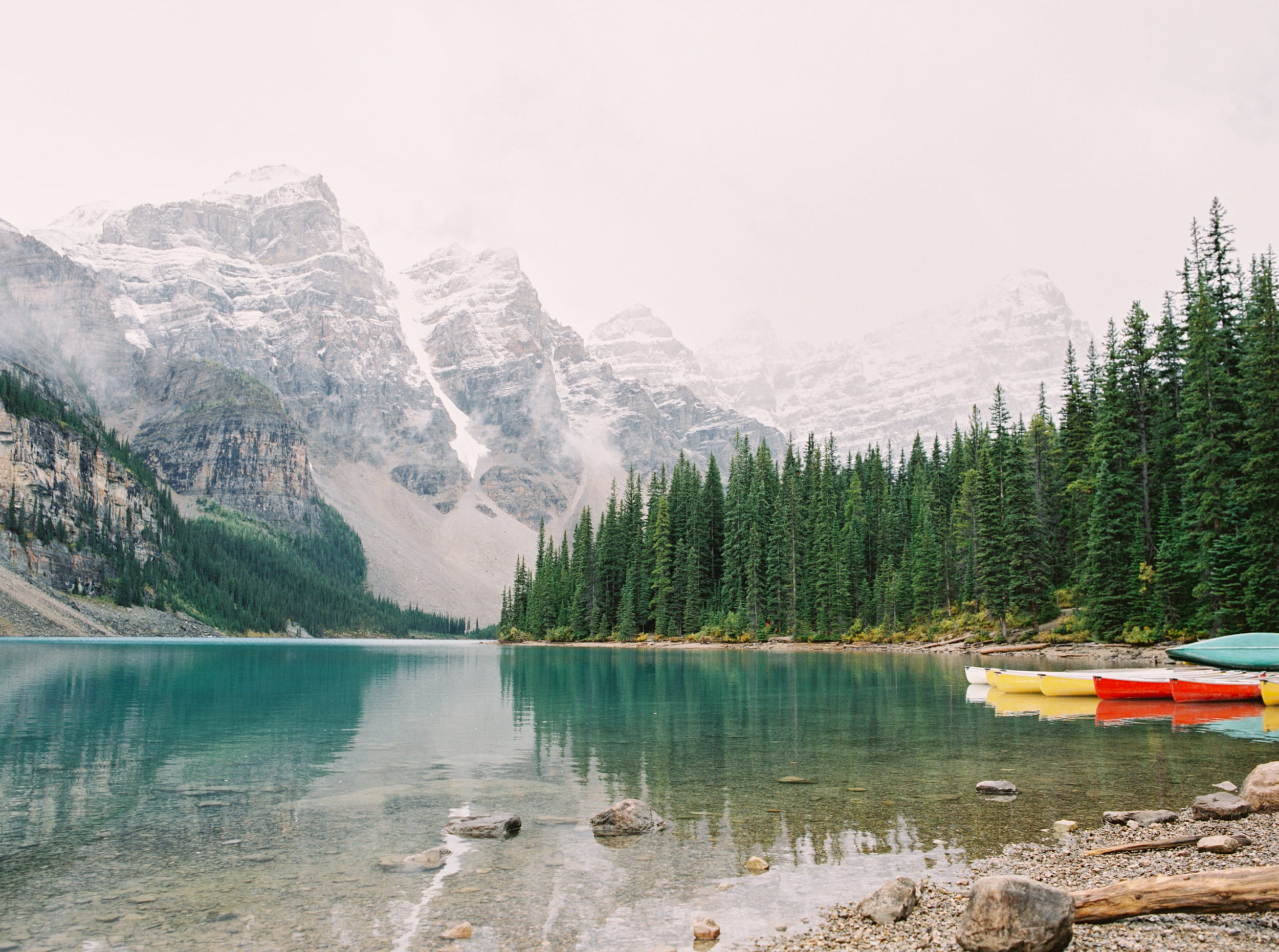 plant, travel destinations, banff National Park, mountain Range, tranquility, landscape, nature, alberta, forest, reflection, sky, water, surrounded, rock, HD Wallpaper