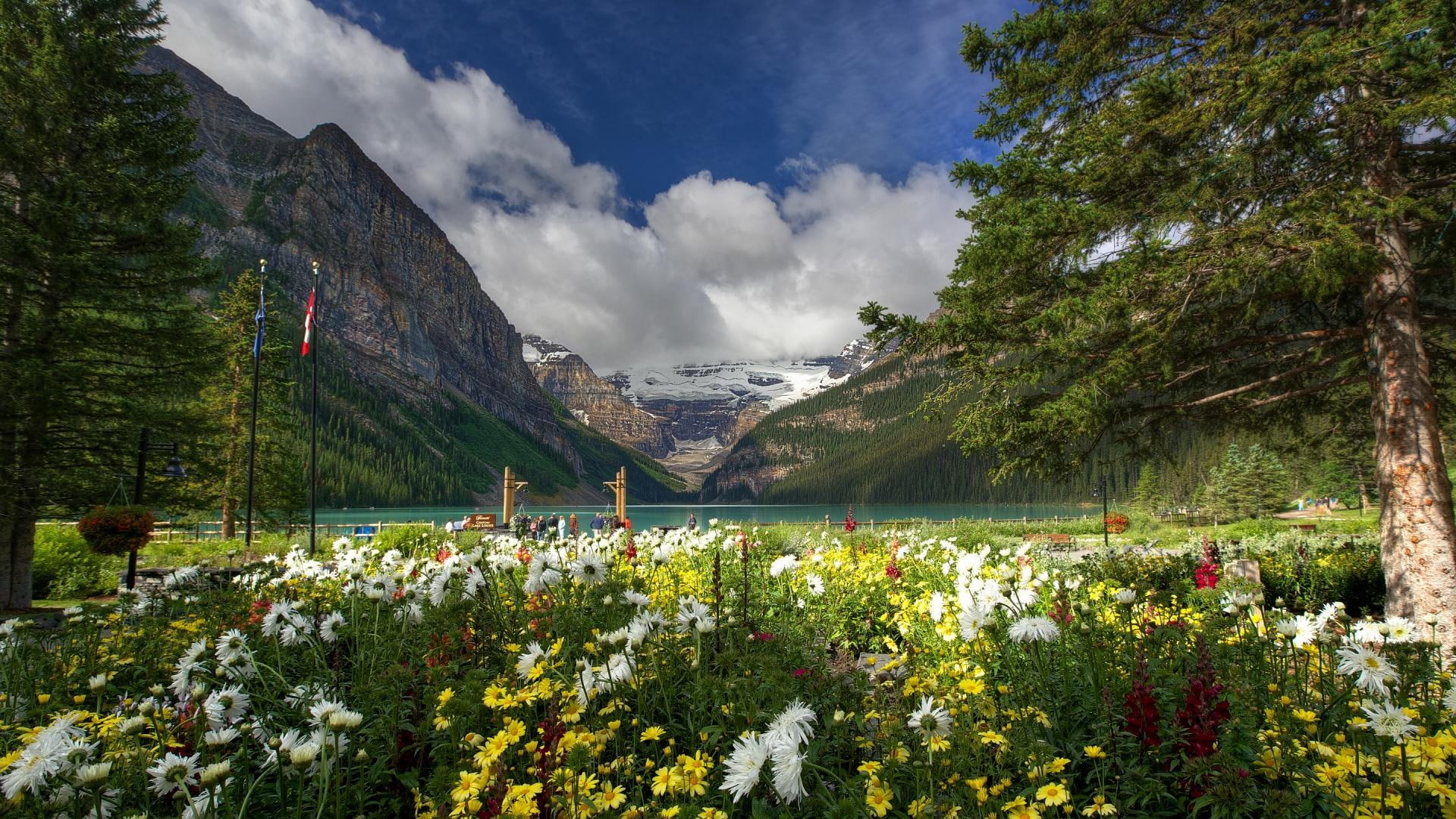flowers, mountains, nature and landscapes, yellow, carden, white, beautiful, gardens, chateau, louise, lake, 1080P, HD Wallpaper