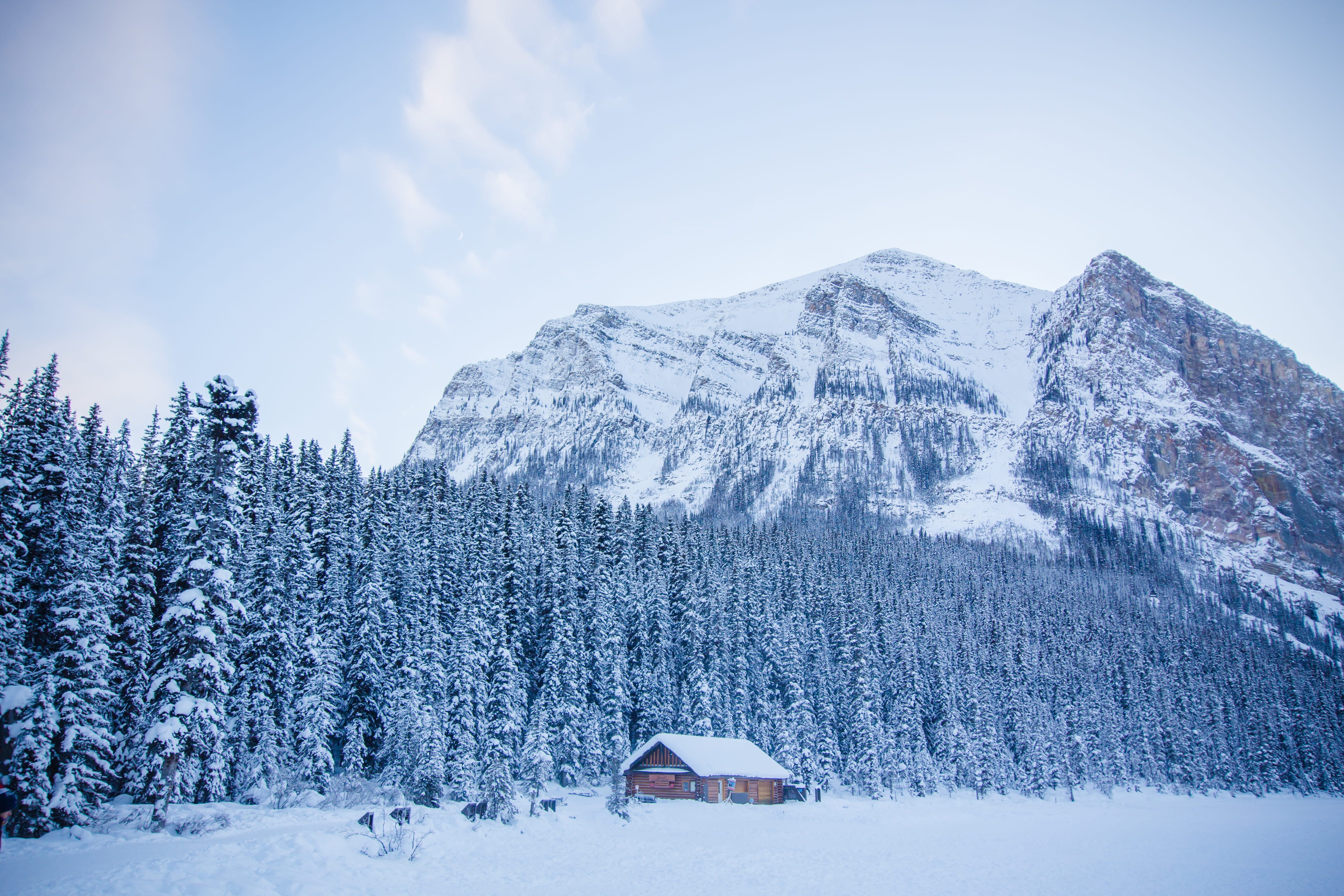 idyllic, scenics - nature, sky, architecture, tree, beauty in nature, trees, built structure, cold temperature, winter, cabin, 5K, plant, tranquil scene, HD Wallpaper