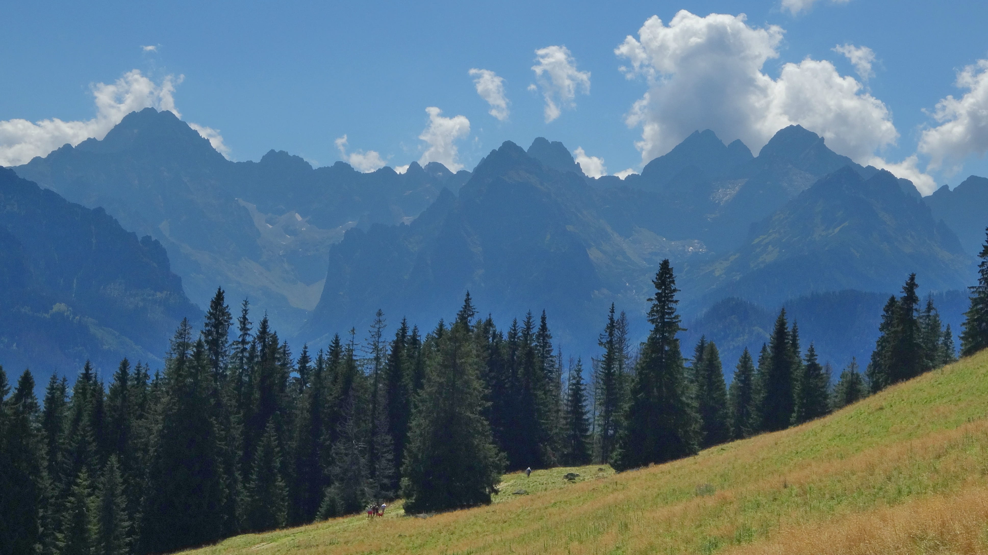 mountain range, forest, tops, idyllic, beauty in nature, landscape, coniferous tree, tranquil scene, clouds, scenics - nature, nature, tatry, environment, HD Wallpaper