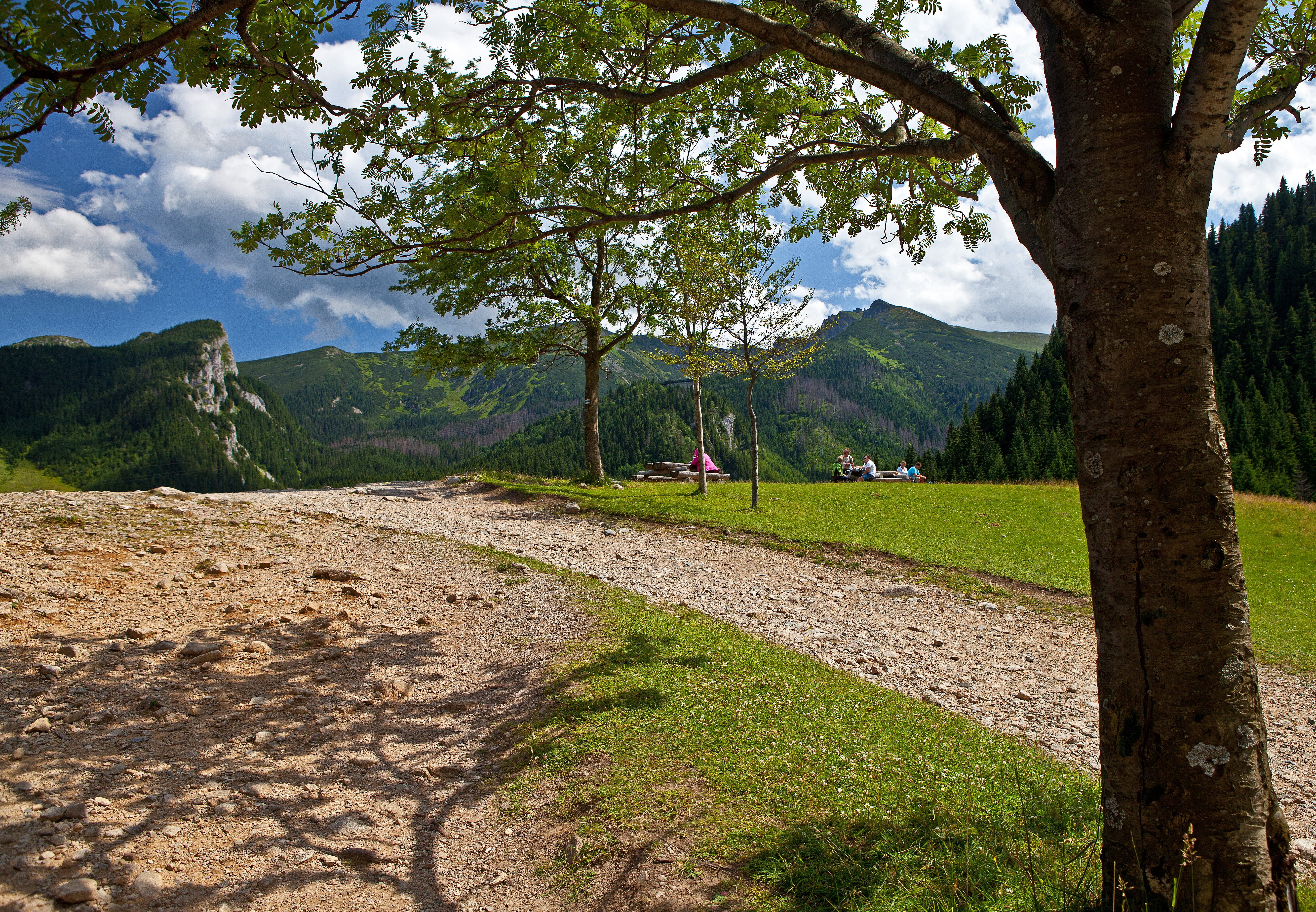 tatry, rest on the trail, environment, outdoors, green color, tree, shadows, way, foliage, the national park, sharp, growth, tour, white, sky, blue, non-urban scene, HD Wallpaper