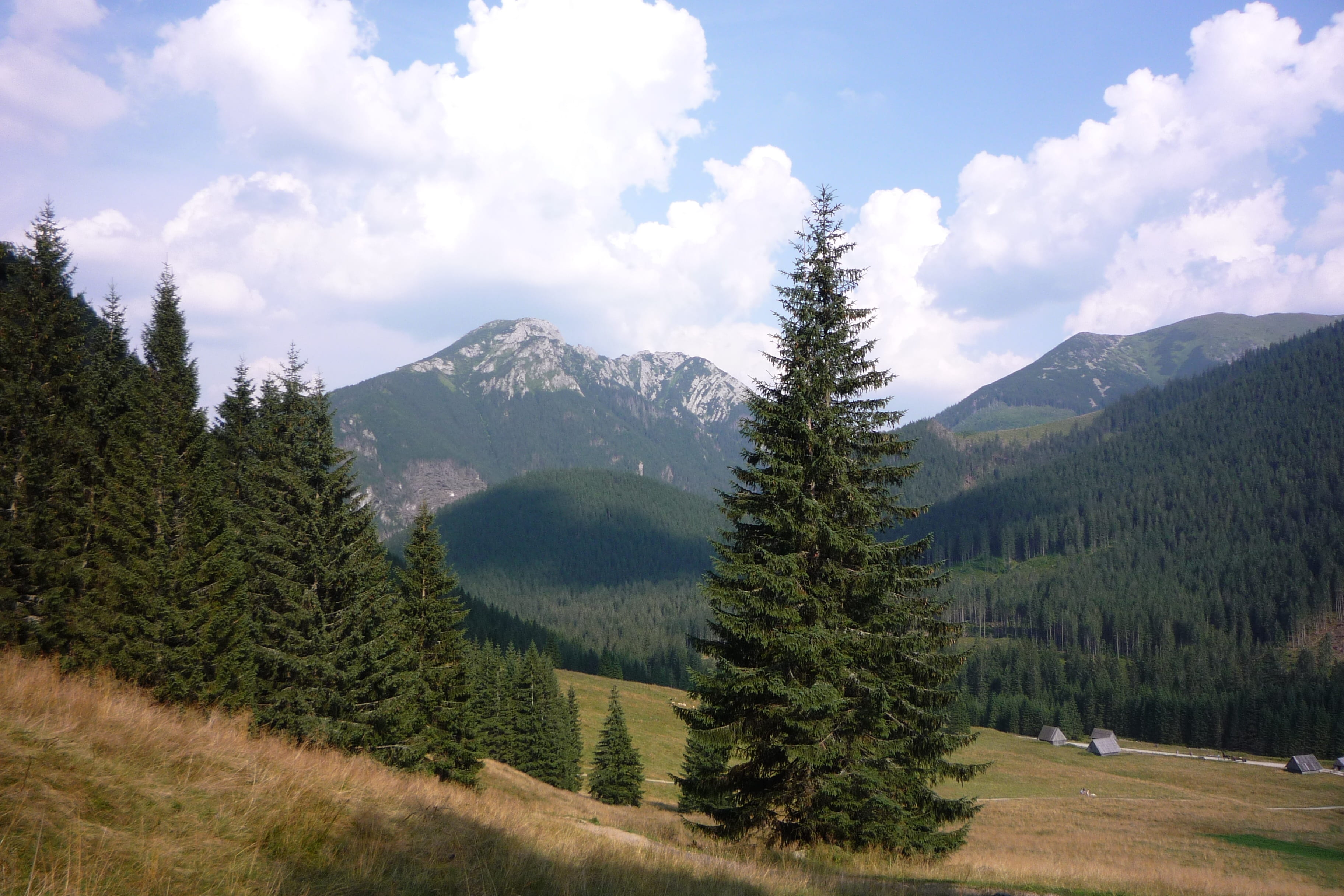 tranquil scene, poland, the beauty of the mountains, top view, view, 2K, mountain range, environment, cloud - sky, pine tree, nature, the national park, HD Wallpaper