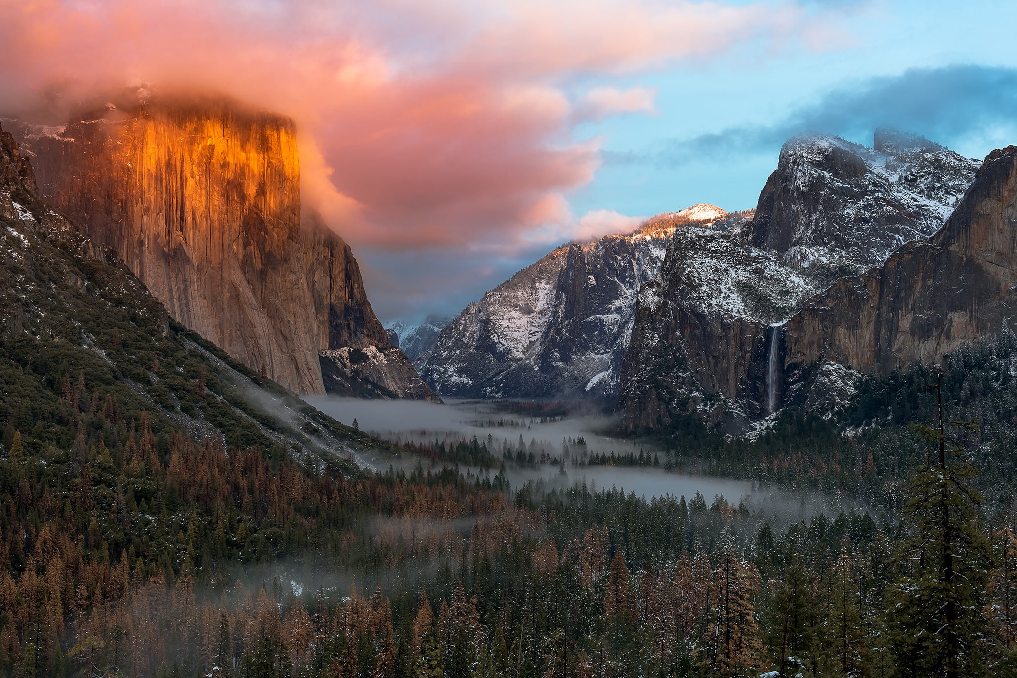 Yosemite National Park, forest, mountains, 1080P, landscape, HD Wallpaper