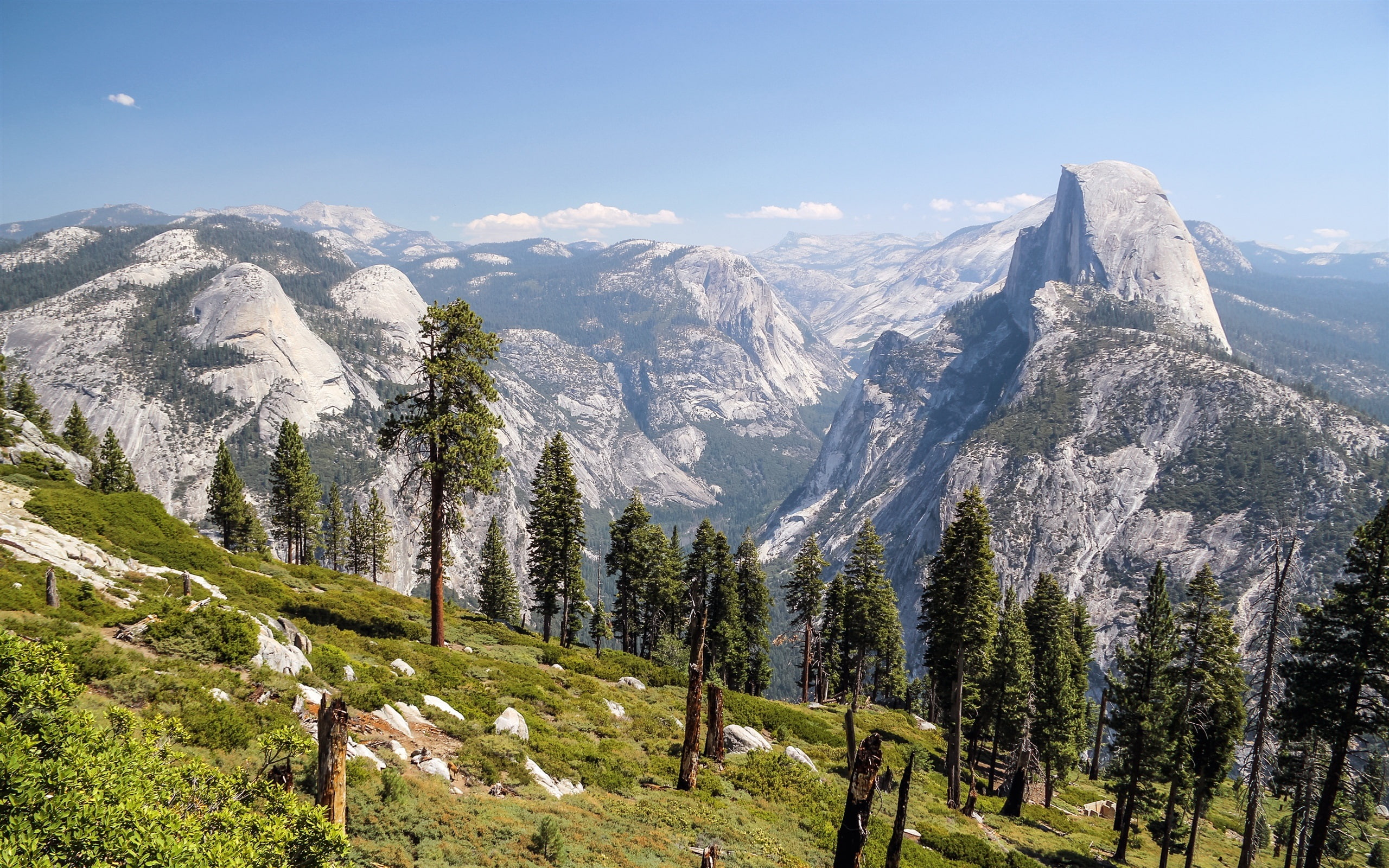 Yosemite, Valley, 2K, USA, California, Park, National, Trees, Mountains, HD Wallpaper