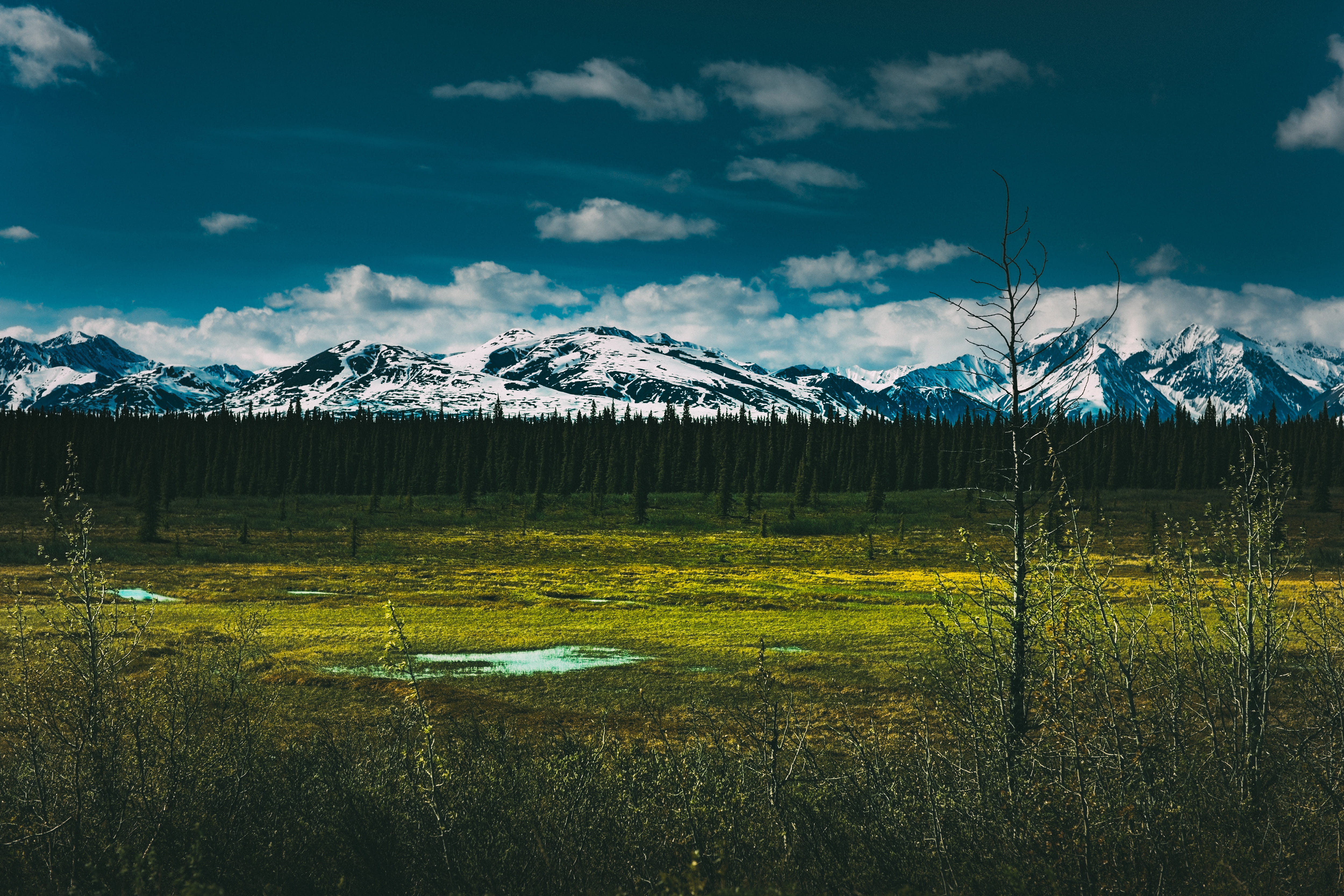land, winter, denali, natural, Denali National Park, Landscape, scenics, rocky Mountains, park, sky, snow, scenics - nature, uSA, idyllic, view, environment, HD Wallpaper