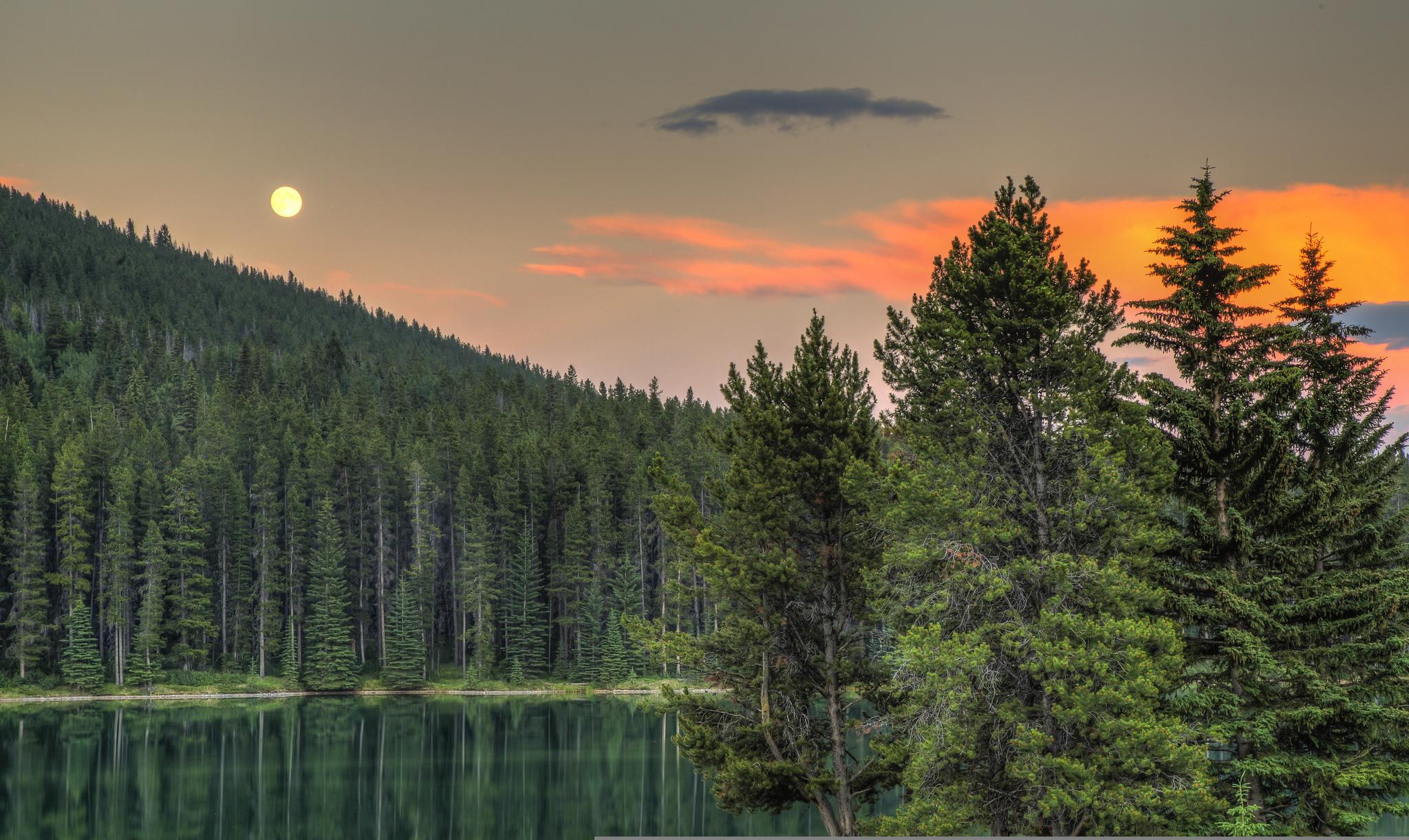 1080P, canada, alberta, background, lake, sunset, photo, trees, lakes, forest, HD Wallpaper