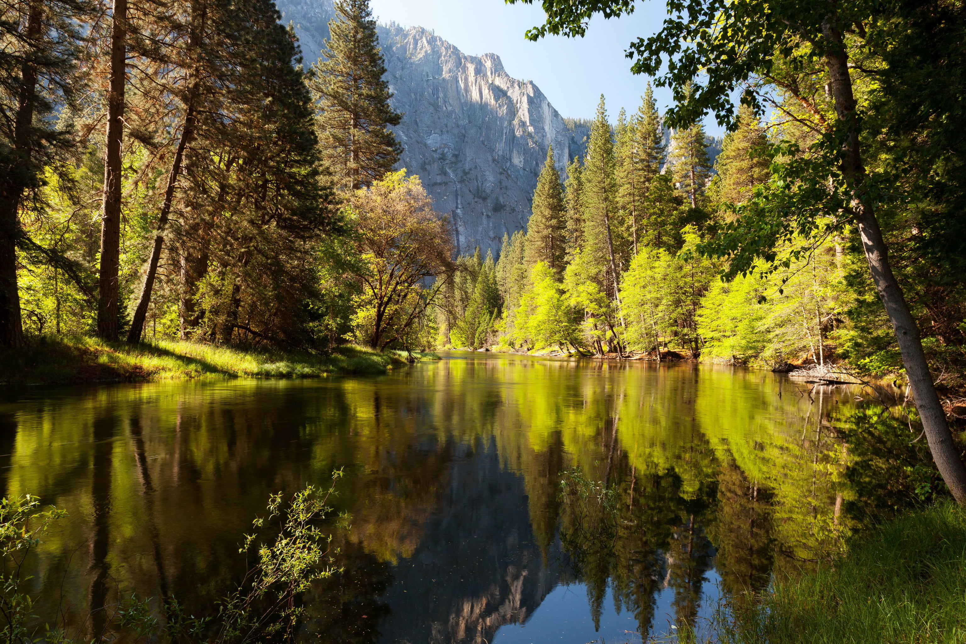 mountain, mountains, green, landscape, tranquil scene, pine, beauty in nature, nature, waterfront, 2K, tree, water, idyllic, day, reflection, non-urban scene, HD Wallpaper