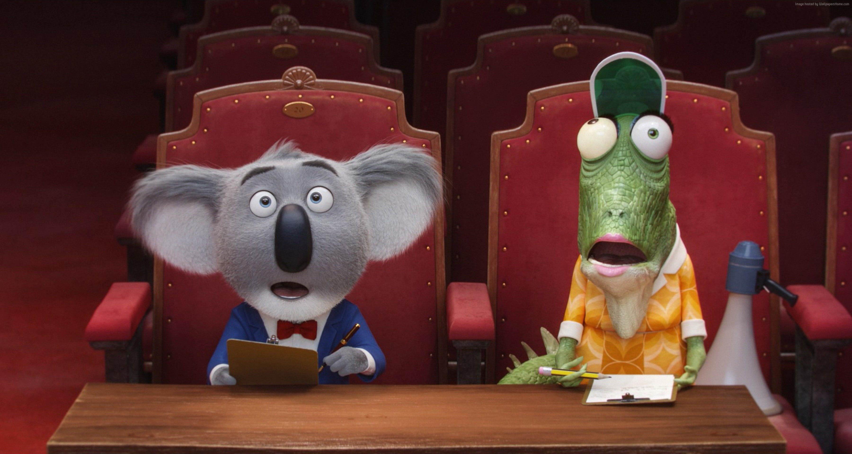 best animation movies of 2016, koala, 2K, buster, matthew mcconaughey, Sing, HD Wallpaper