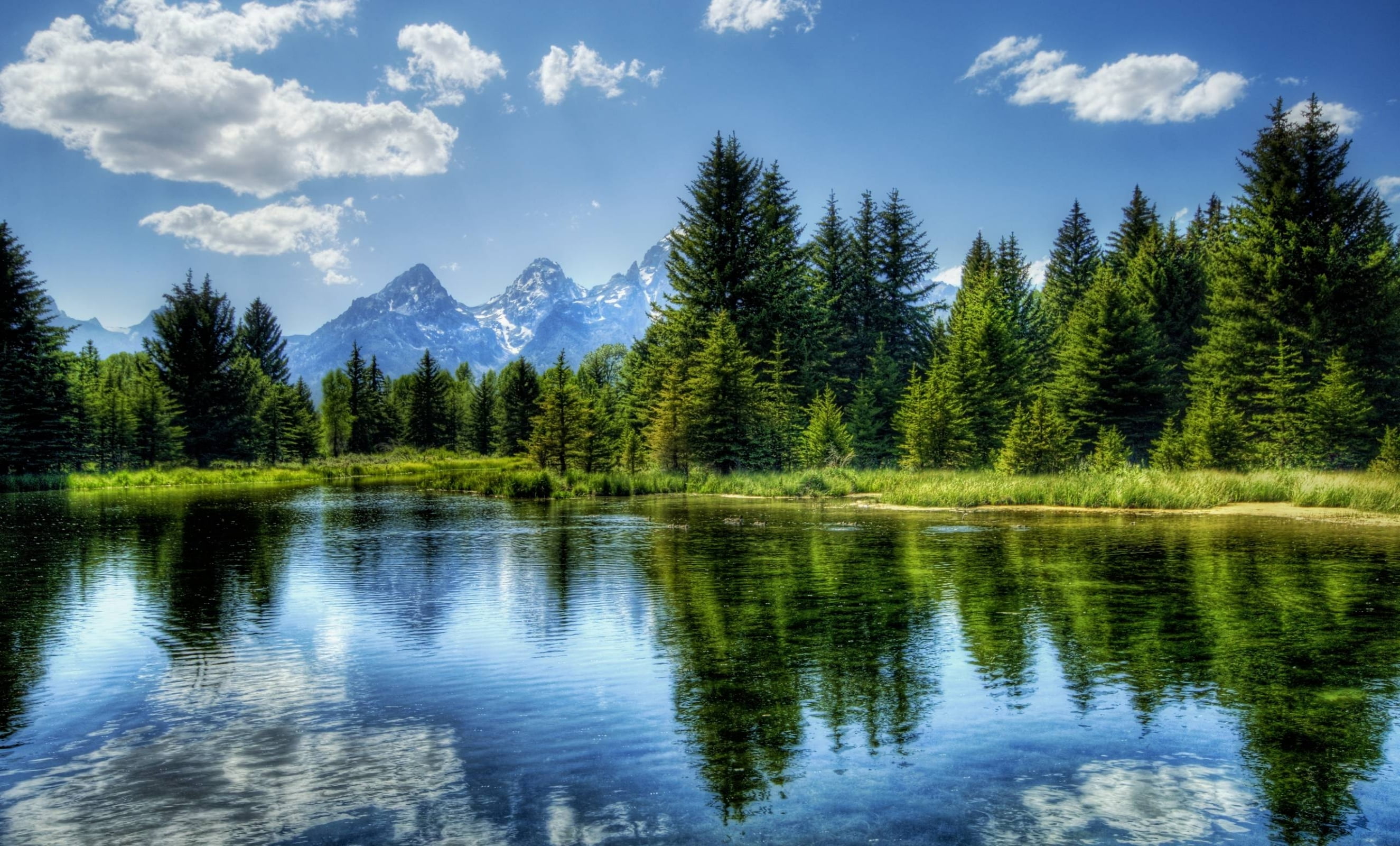trees, wilderness Area, canadian Rockies, water, no People, park - Man Made Space, travel Destinations, national Landmark, scenics - nature, pine Tree, HD Wallpaper