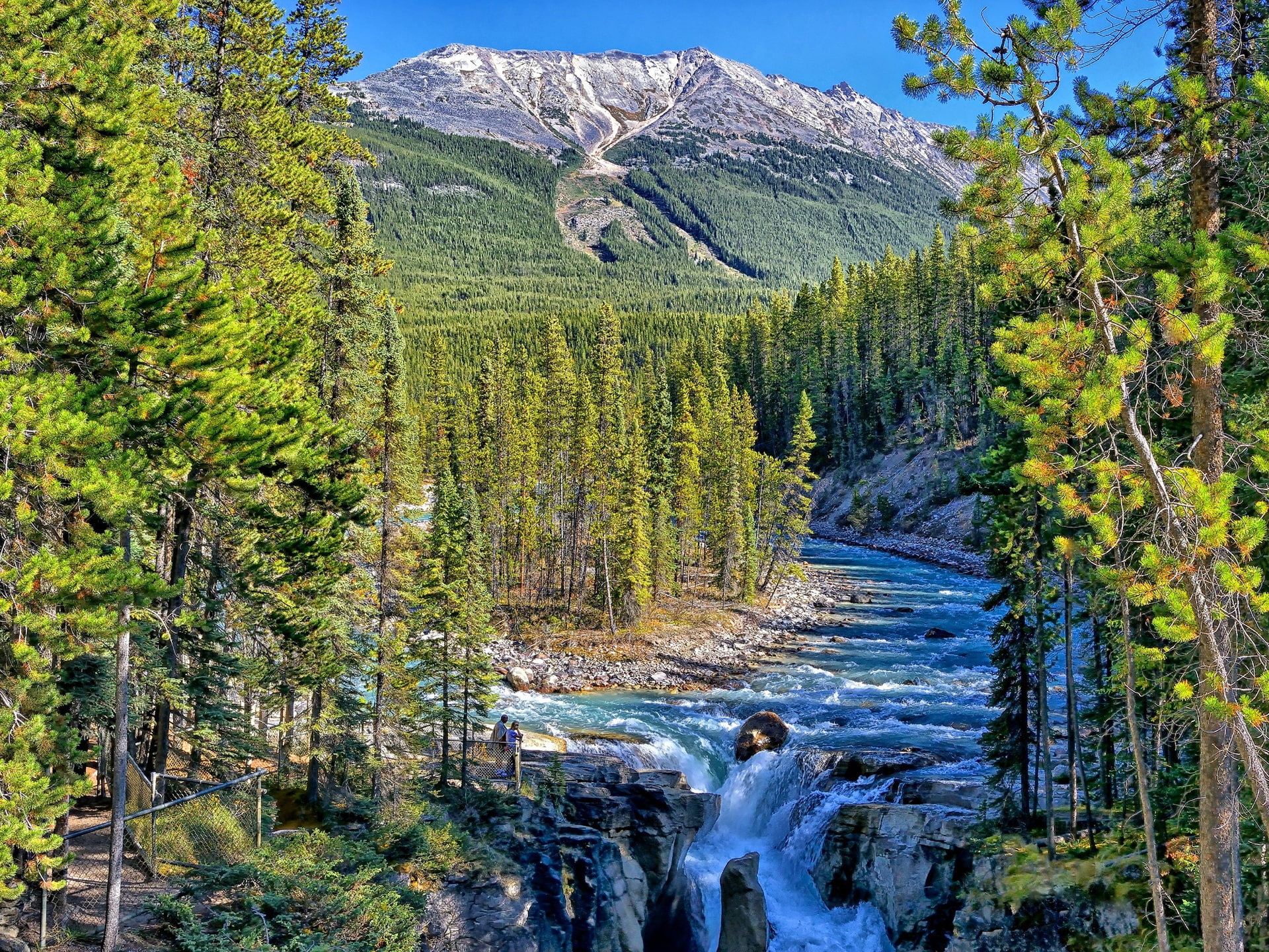 Trees, 1080P, National, Alberta, Park, Jasper, Falls, Canada, Sunwapta, HD Wallpaper